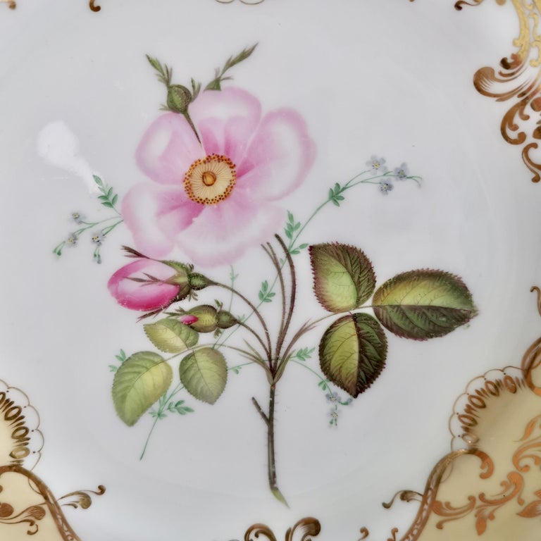 Coalport Set of 4 Porcelain Plates, Beige with Flowers Attr. John Toulouse, 1844 For Sale 3