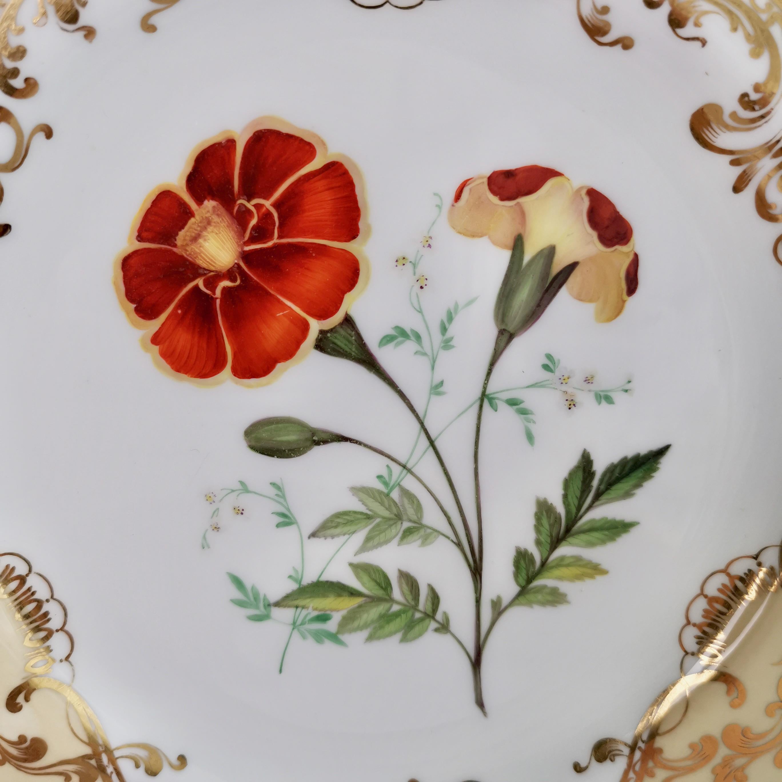 Coalport Set of 4 Porcelain Plates, Beige with Flowers Attr. John Toulouse, 1844 4