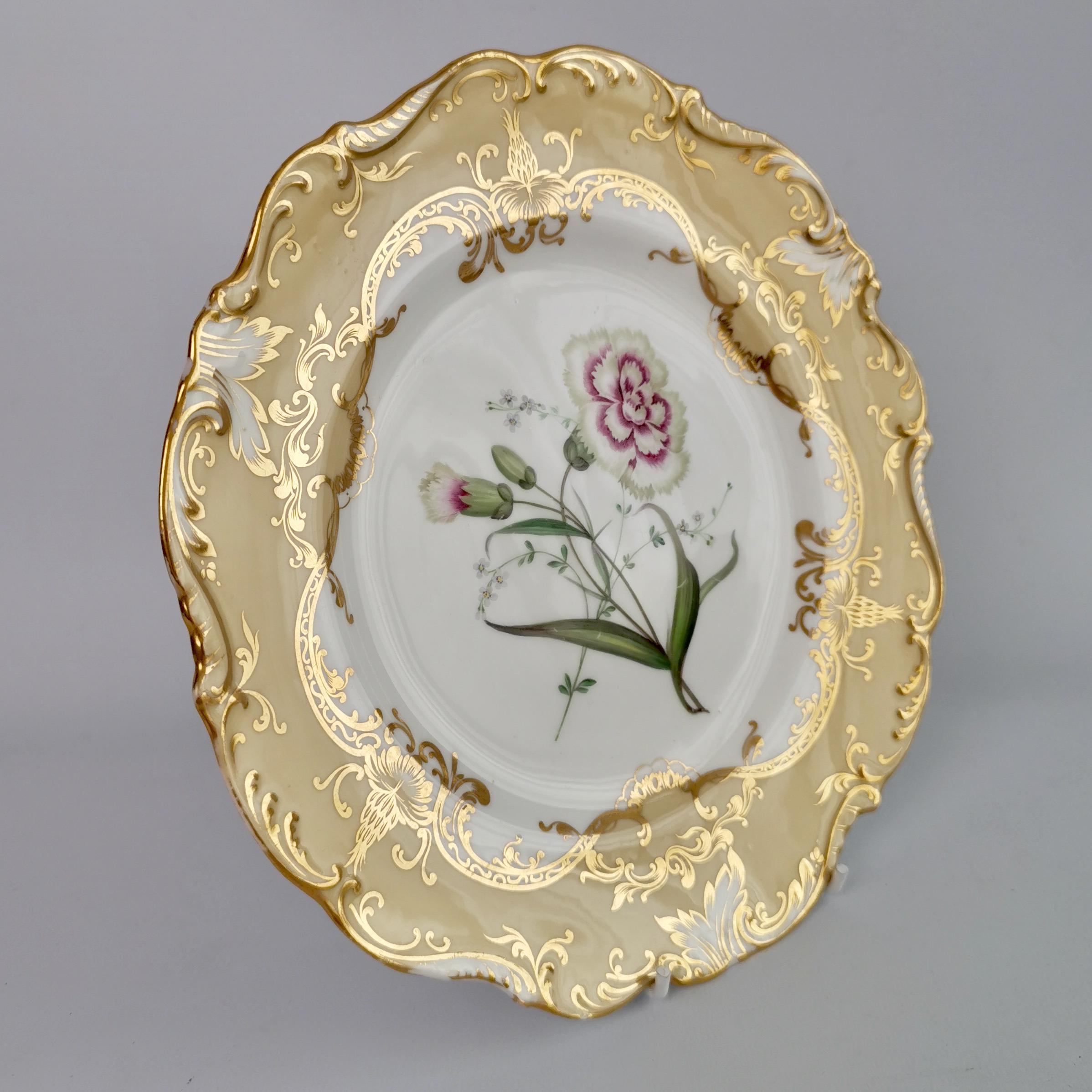 Coalport Set of 4 Porcelain Plates, Beige with Flowers Attr. John Toulouse, 1844 5
