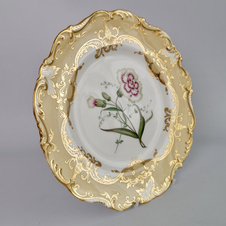 Coalport Set of 4 Porcelain Plates, Beige with Flowers Attr. John Toulouse, 1844 For Sale 5