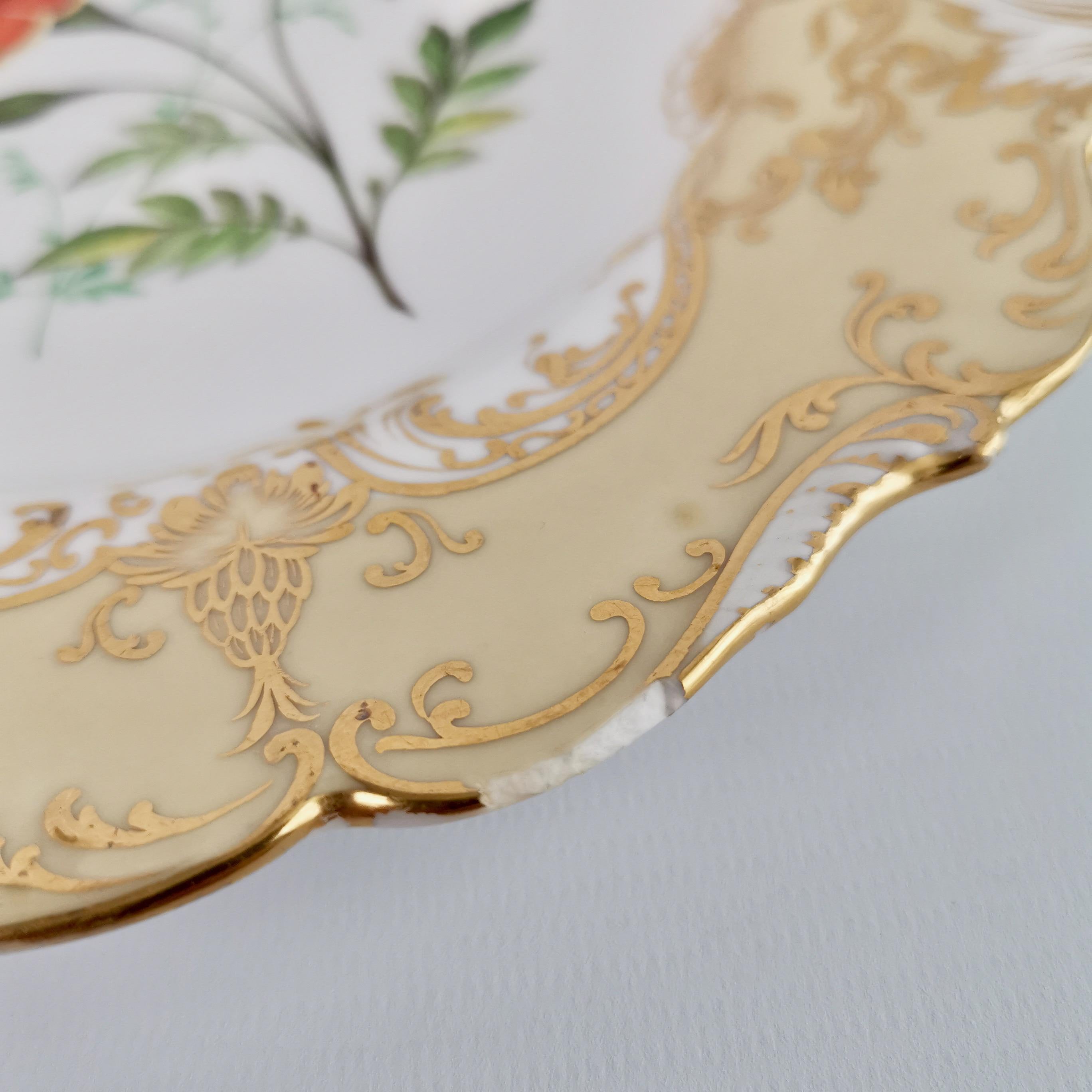 Coalport Set of 4 Porcelain Plates, Beige with Flowers Attr. John Toulouse, 1844 8
