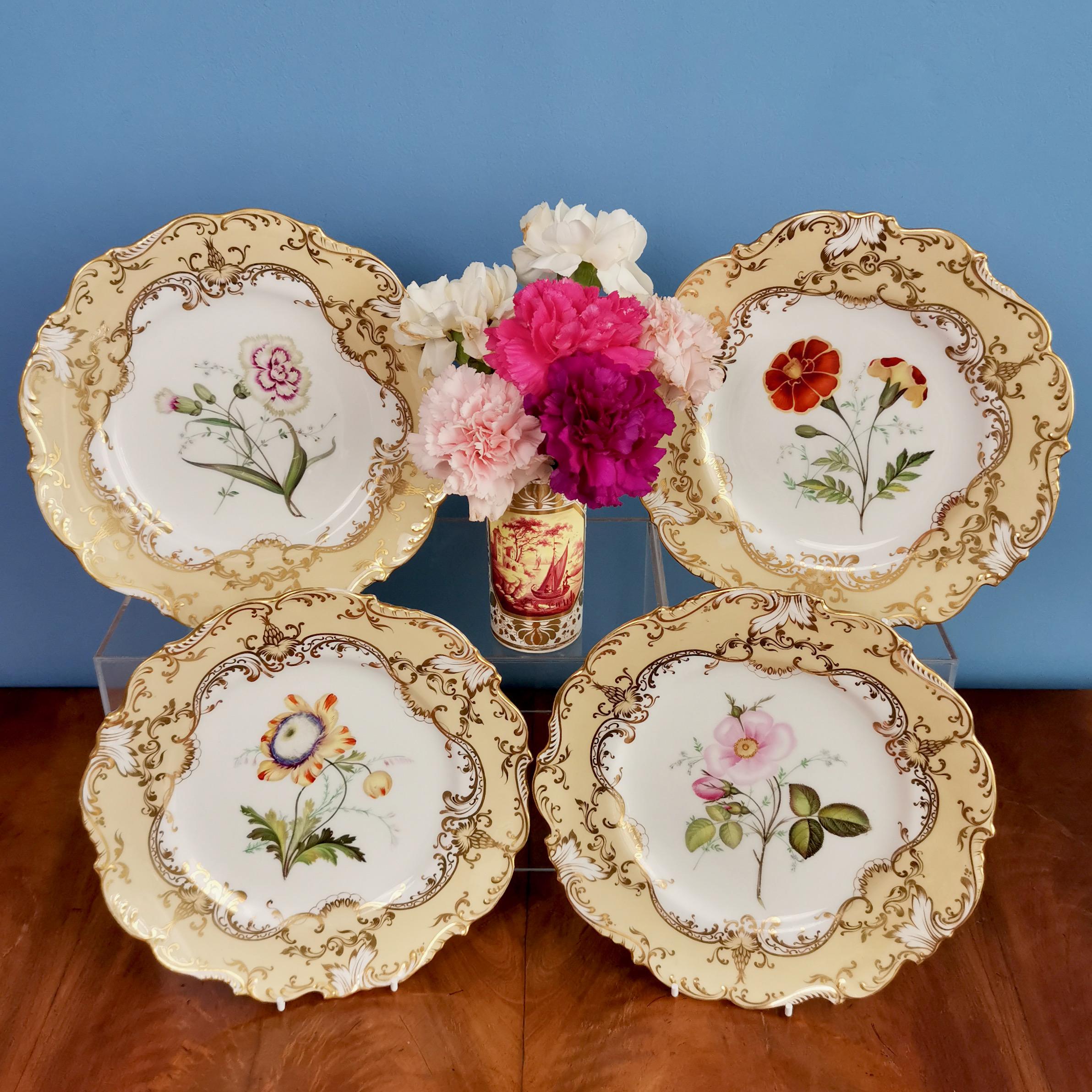 This is a set of 4 plates made by Coalport in 1844 decorated in a beige ground with beautiful gilt detail and stunning botanical studies attributed to John Toulouse, who was a famous painter at Coalport.
 
Coalport was one of the leading potters