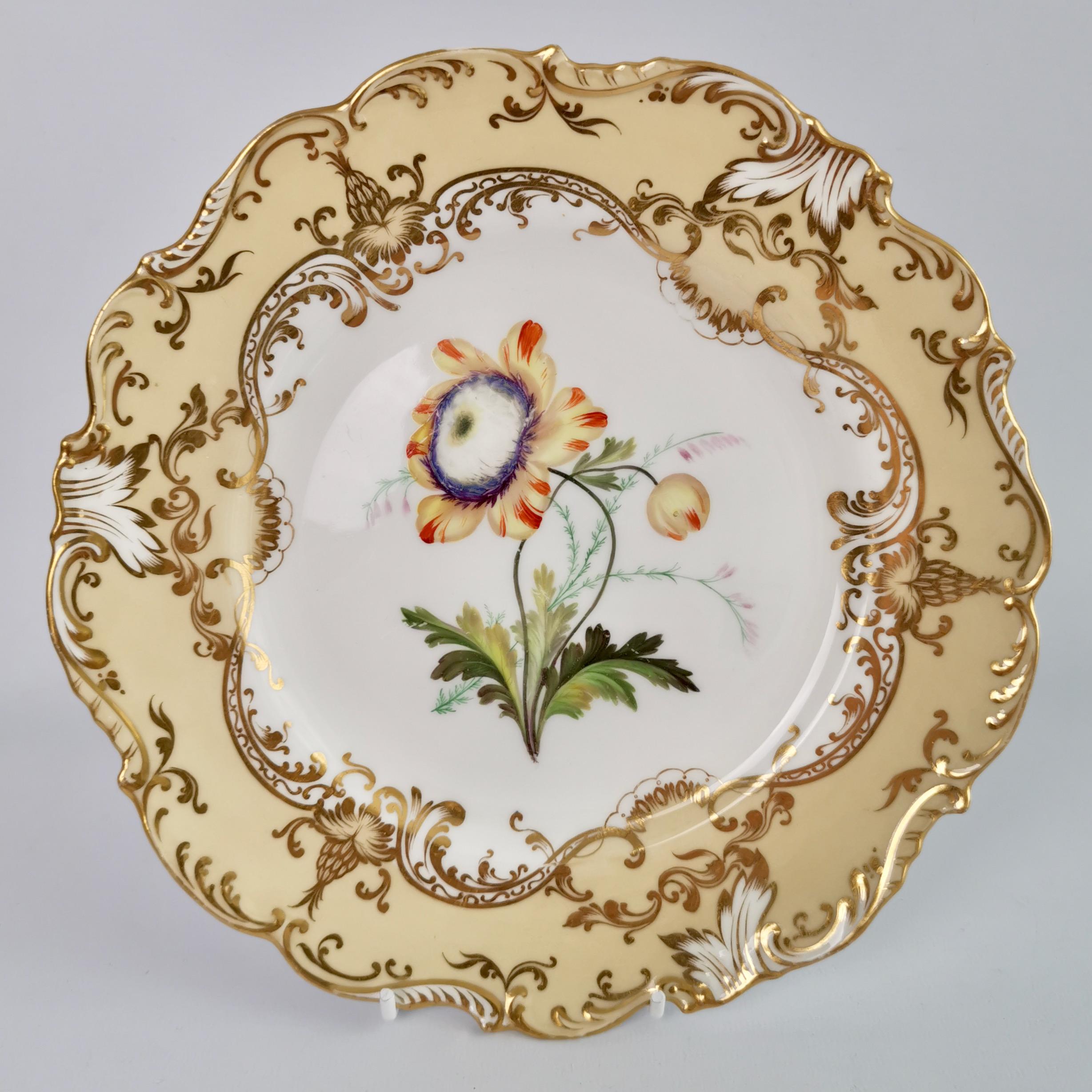 Rococo Revival Coalport Set of 4 Porcelain Plates, Beige with Flowers Attr. John Toulouse, 1844