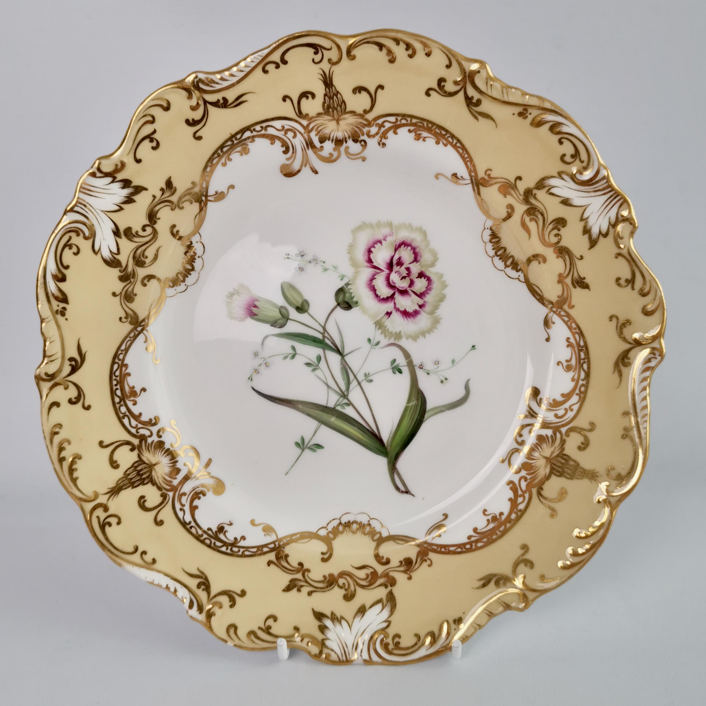 English Coalport Set of 4 Porcelain Plates, Beige with Flowers Attr. John Toulouse, 1844
