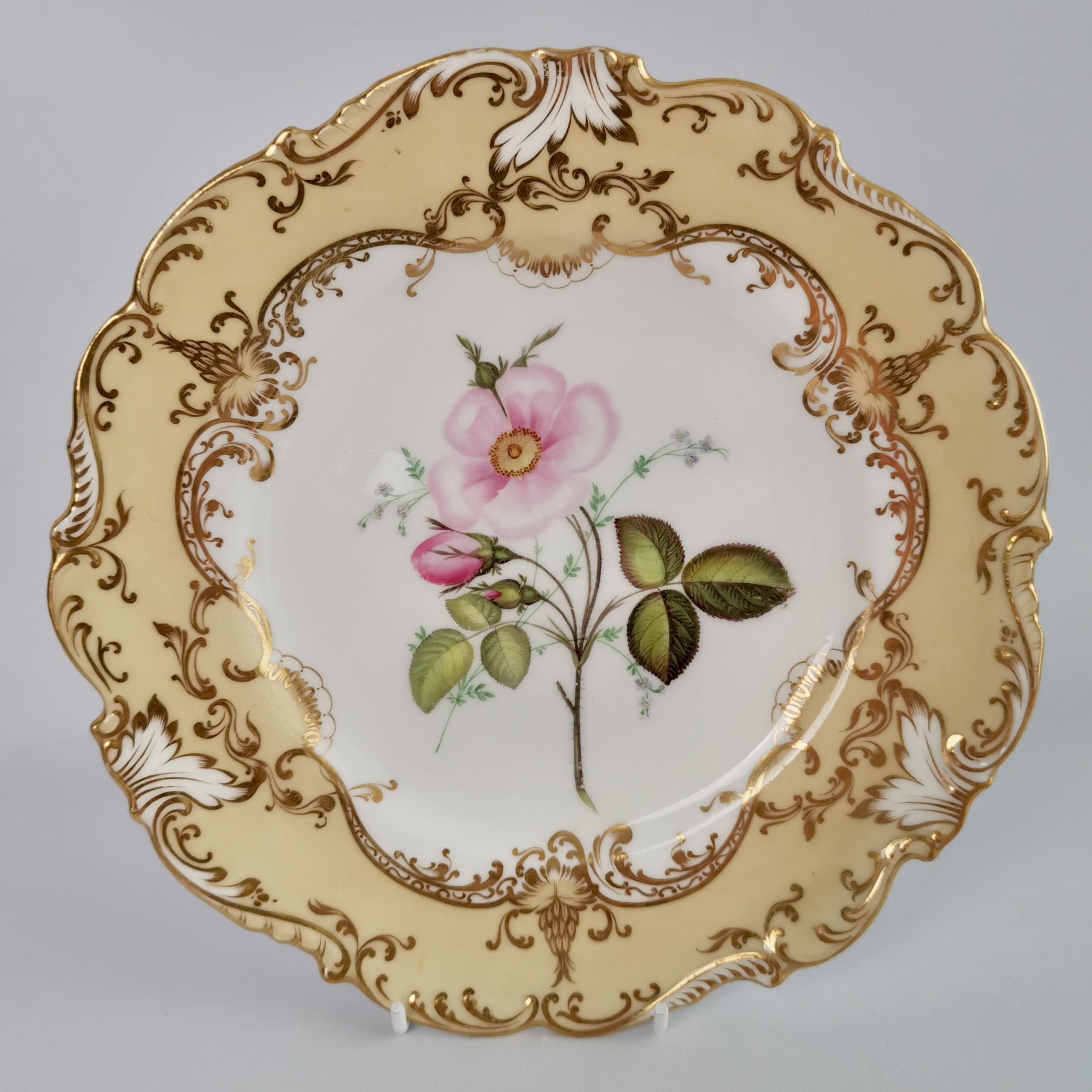 Hand-Painted Coalport Set of 4 Porcelain Plates, Beige with Flowers Attr. John Toulouse, 1844