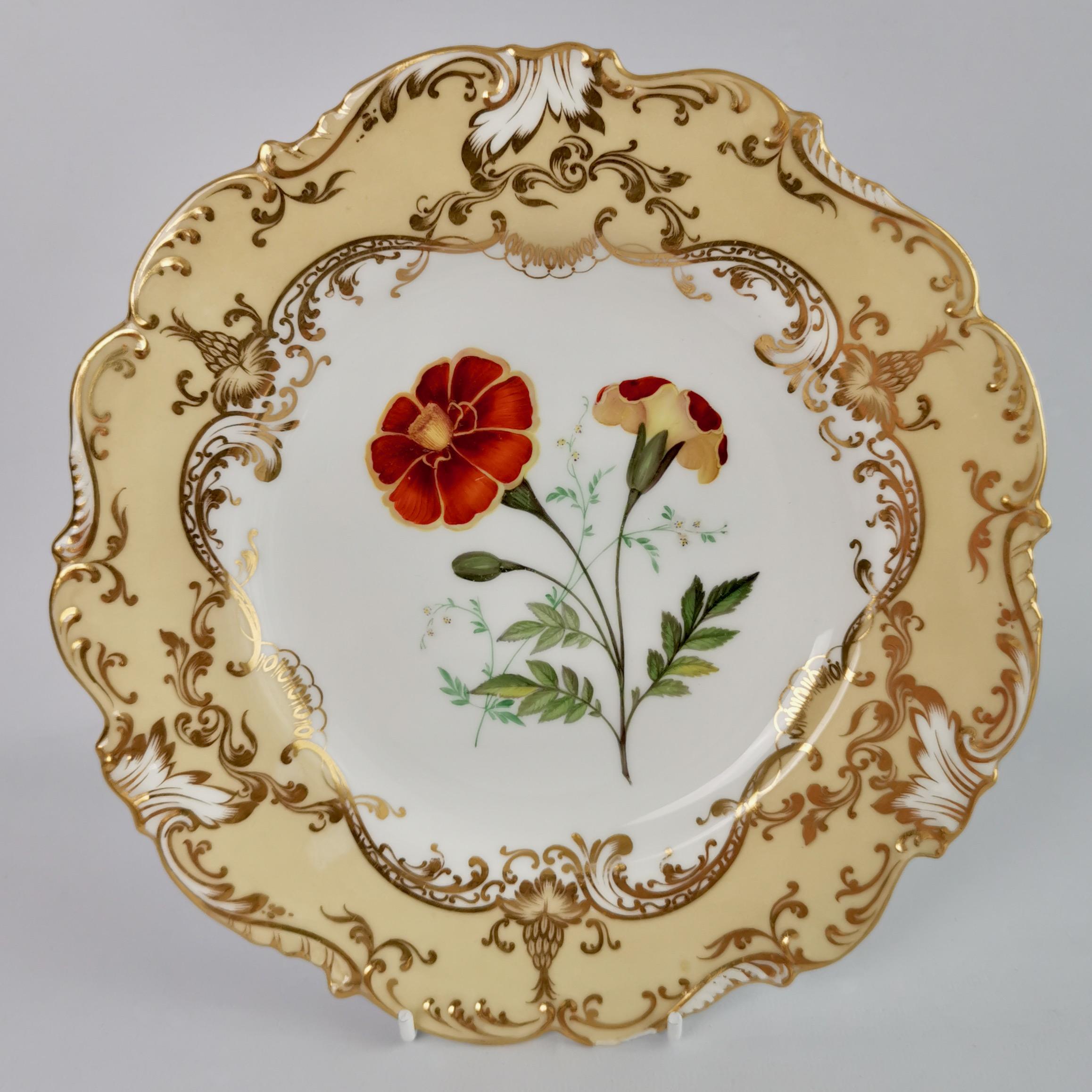 Coalport Set of 4 Porcelain Plates, Beige with Flowers Attr. John Toulouse, 1844 In Good Condition In London, GB