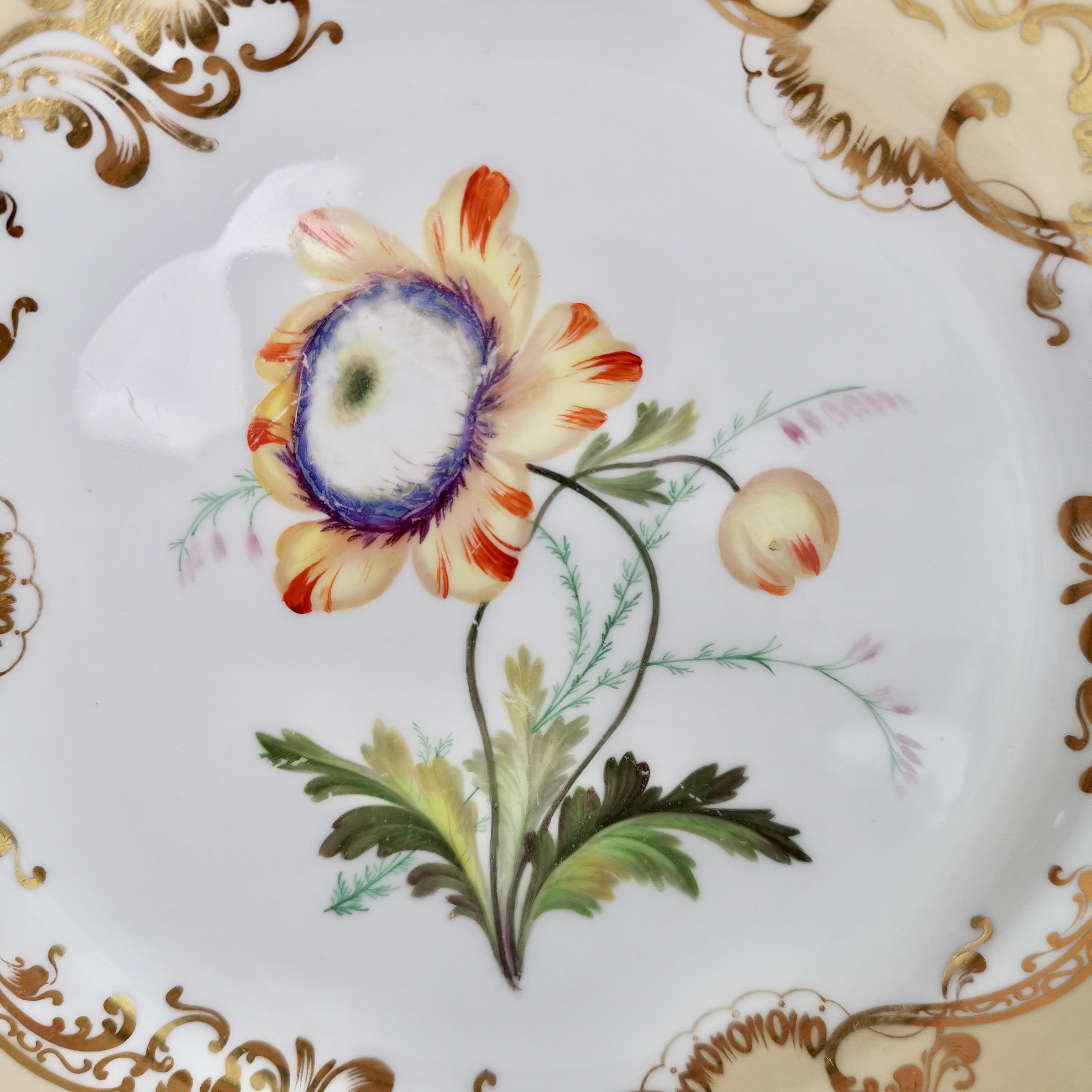 Coalport Set of 4 Porcelain Plates, Beige with Flowers Attr. John Toulouse, 1844 1