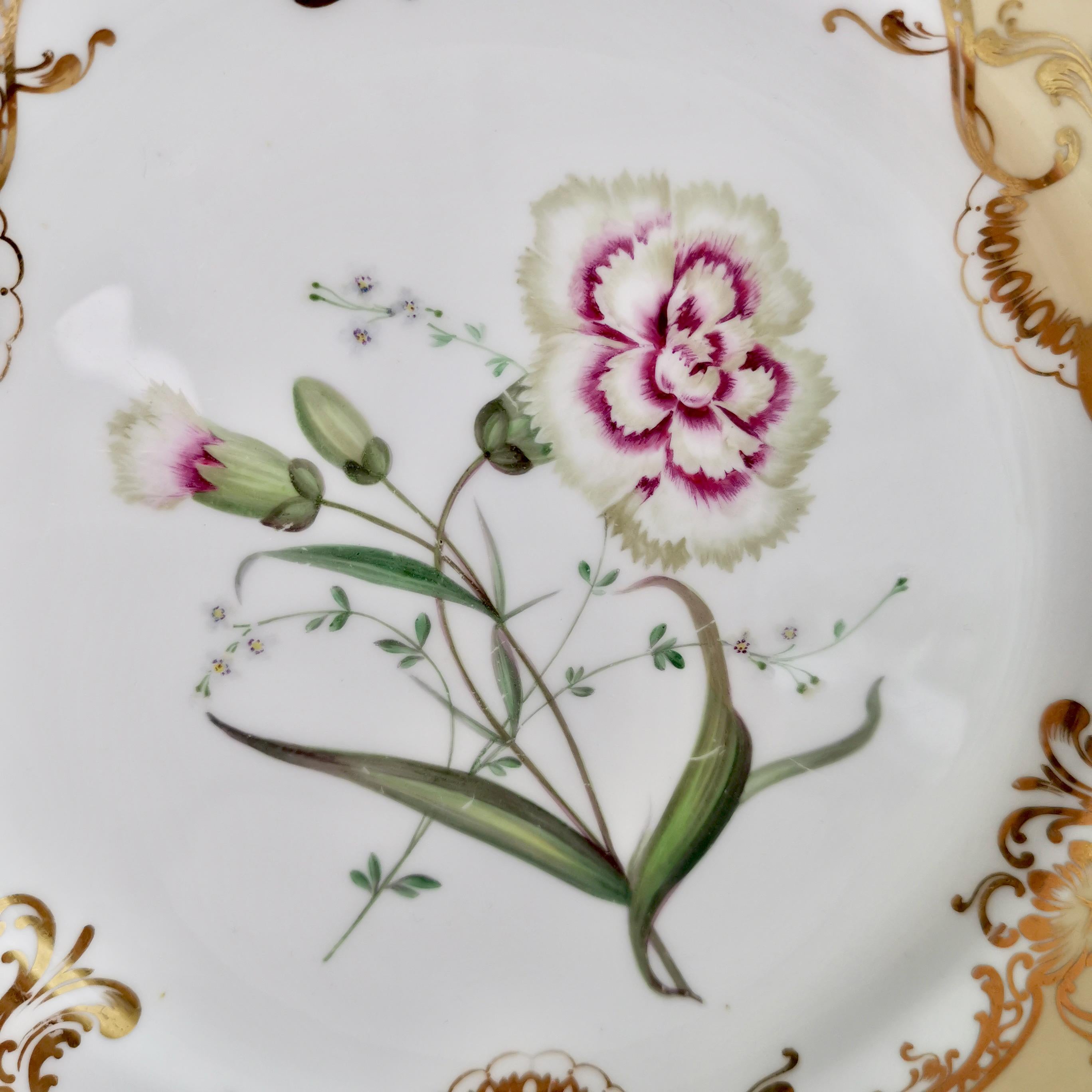 Coalport Set of 4 Porcelain Plates, Beige with Flowers Attr. John Toulouse, 1844 2