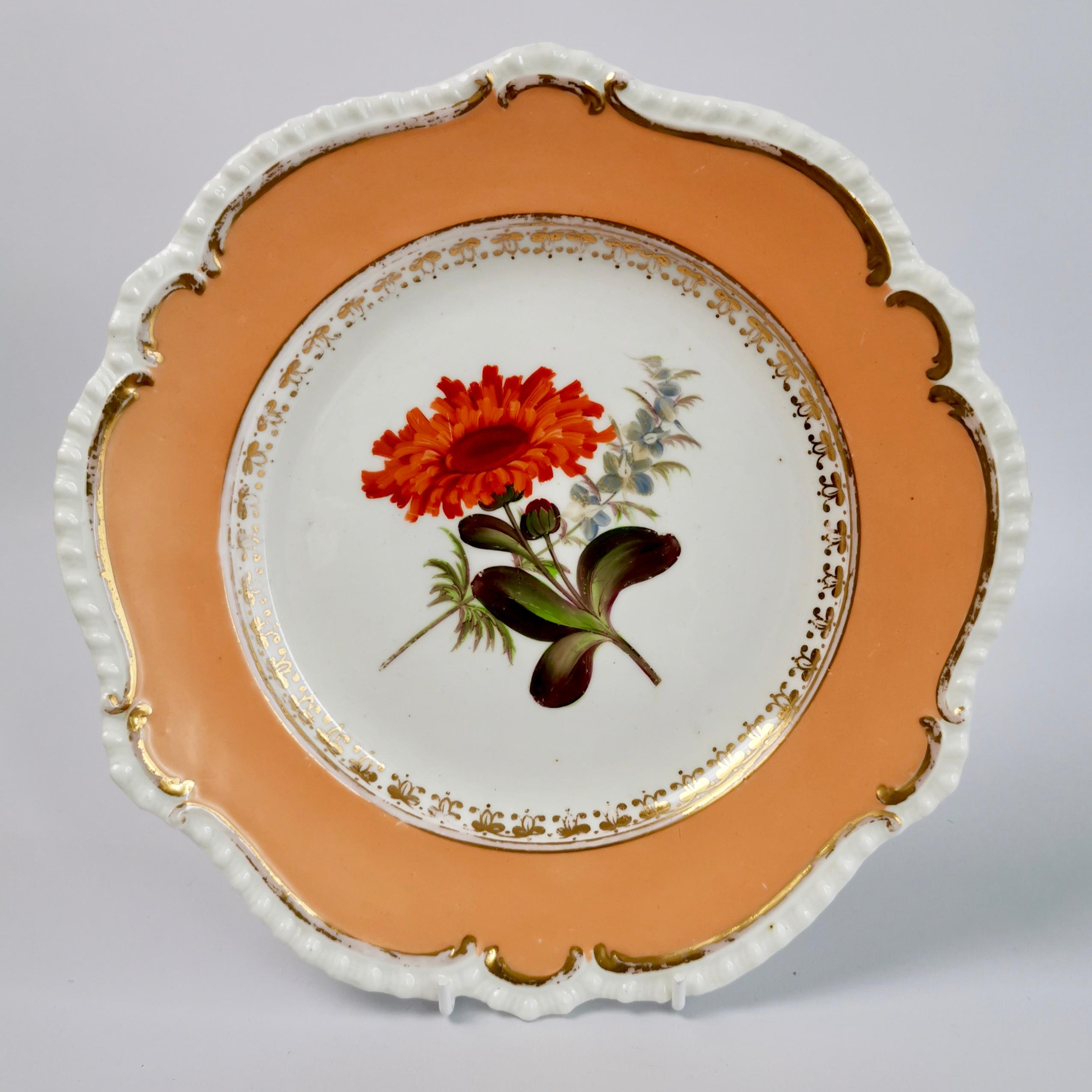 Hand-Painted Coalport Set of 8 Porcelain Plates, Peach with Flowers, Regency 1820-1825