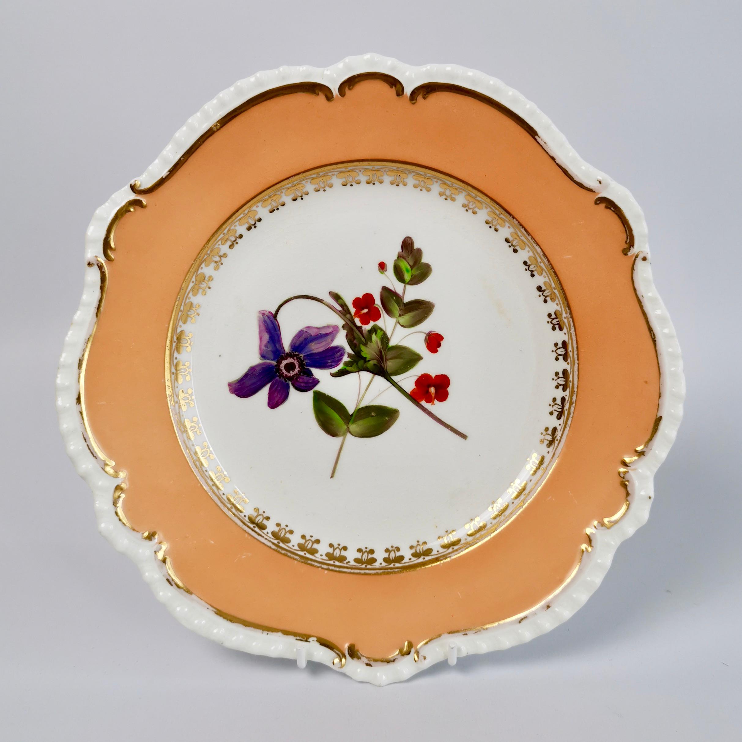 Coalport Set of 8 Porcelain Plates, Peach with Flowers, Regency 1820-1825 In Good Condition In London, GB