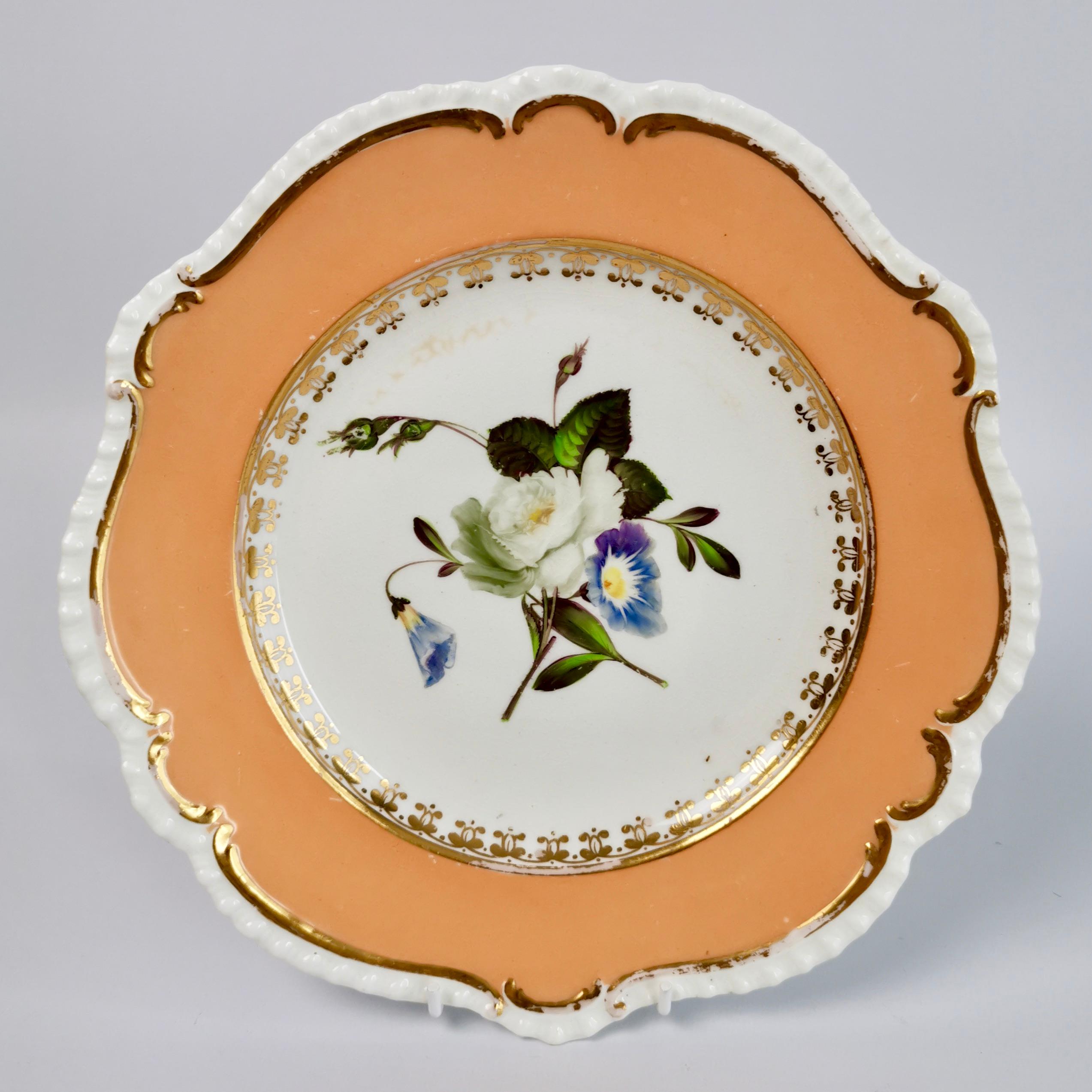 Early 19th Century Coalport Set of 8 Porcelain Plates, Peach with Flowers, Regency 1820-1825