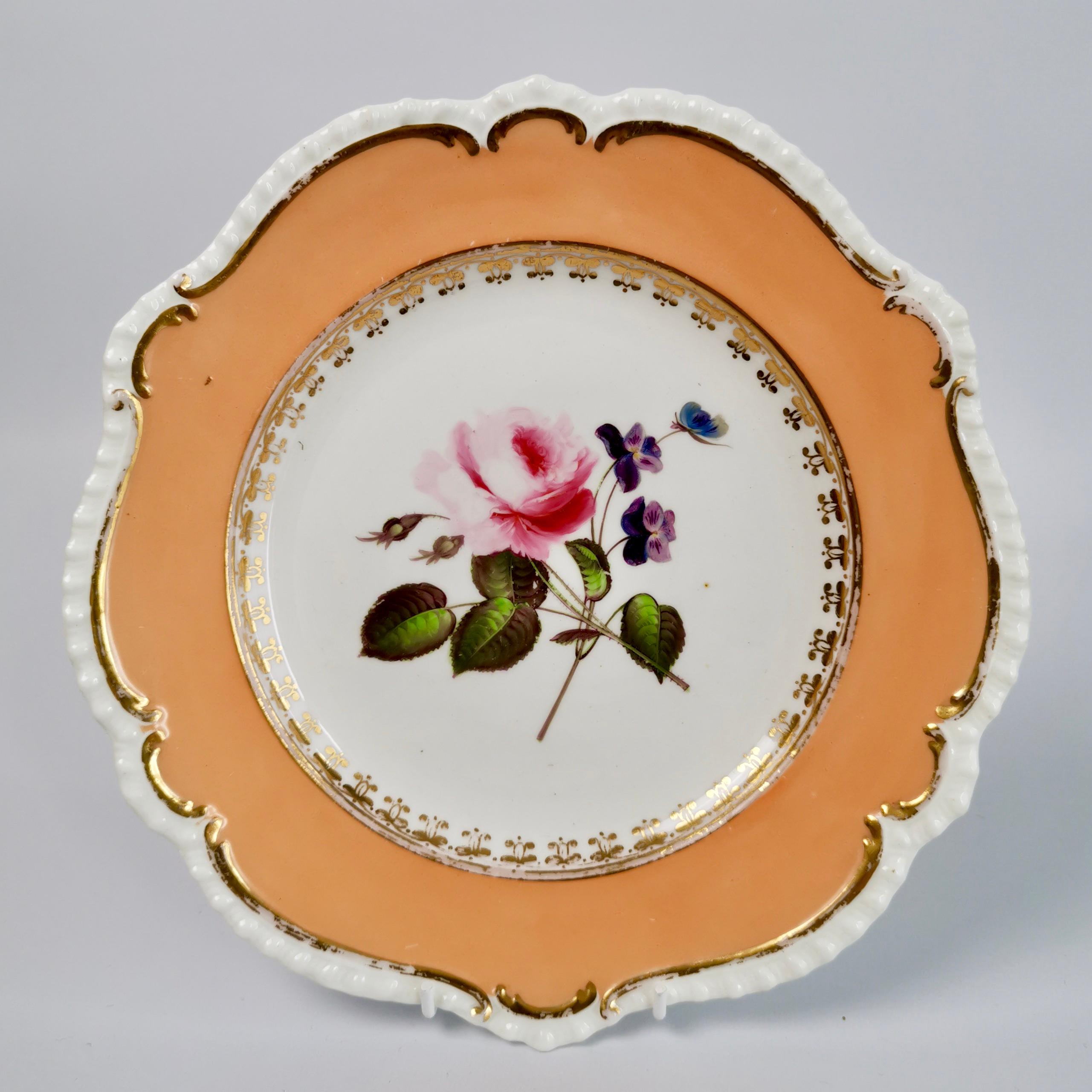Coalport Set of 8 Porcelain Plates, Peach with Flowers, Regency 1820-1825 1