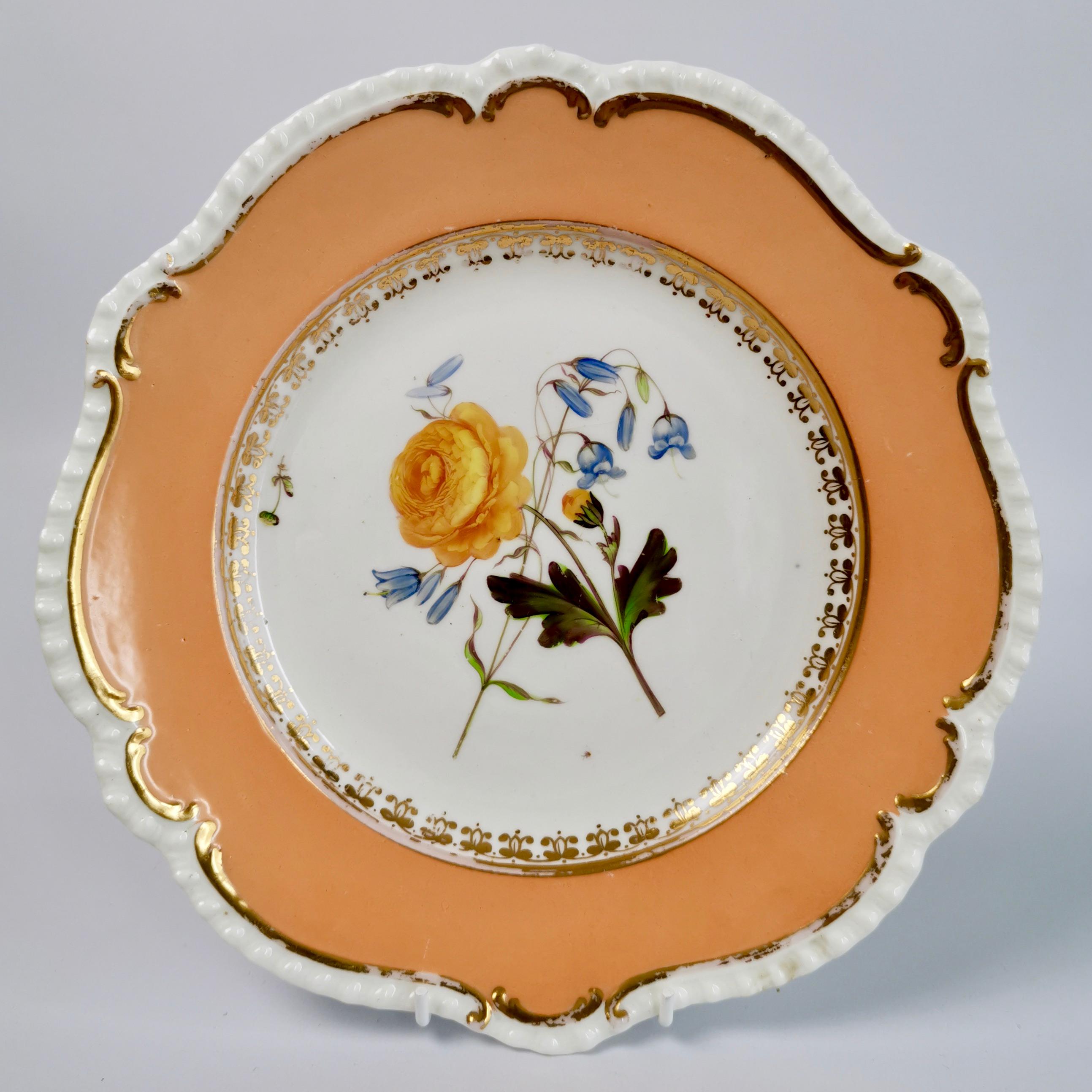 Coalport Set of 8 Porcelain Plates, Peach with Flowers, Regency 1820-1825 2