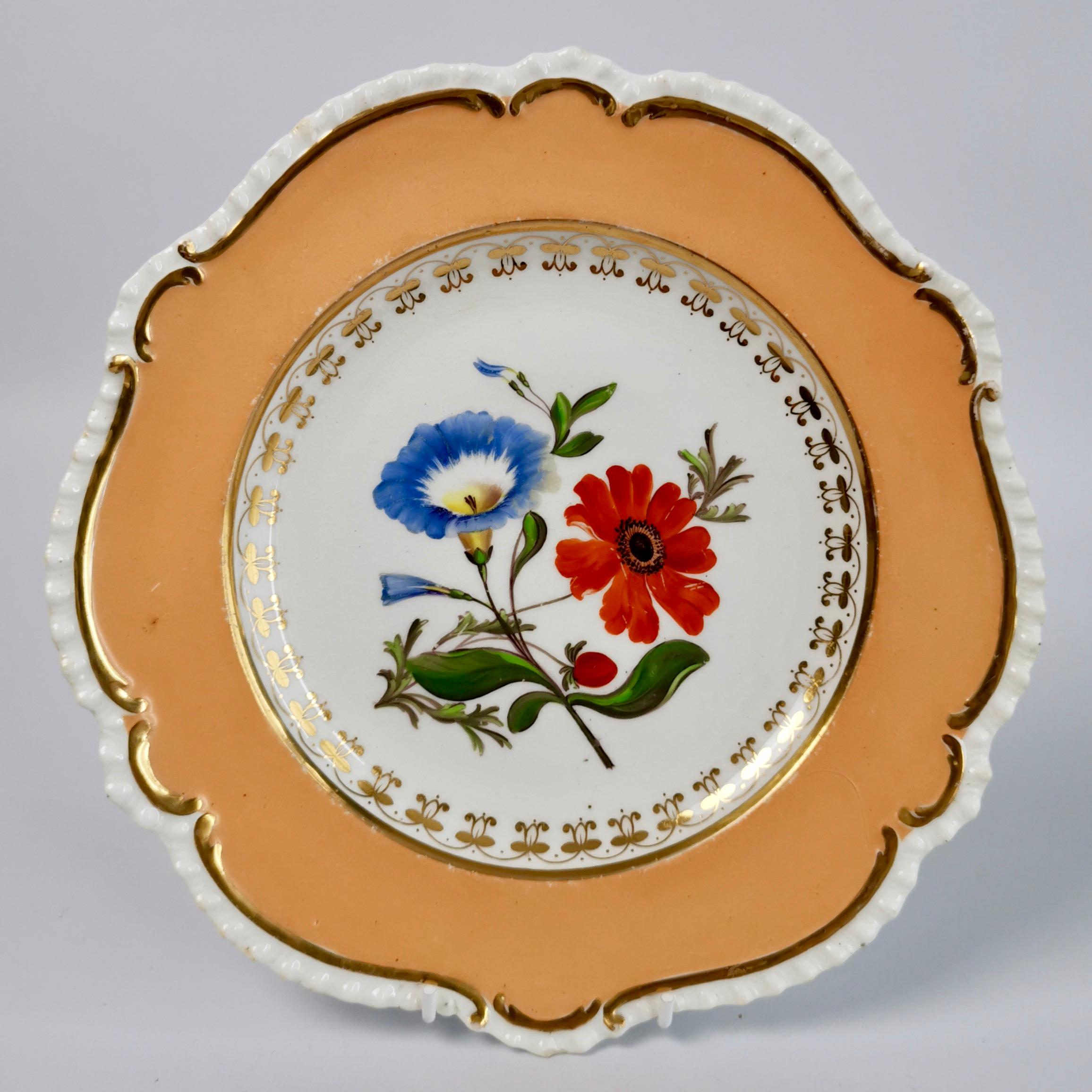 Coalport Set of 8 Porcelain Plates, Peach with Flowers, Regency 1820-1825 3