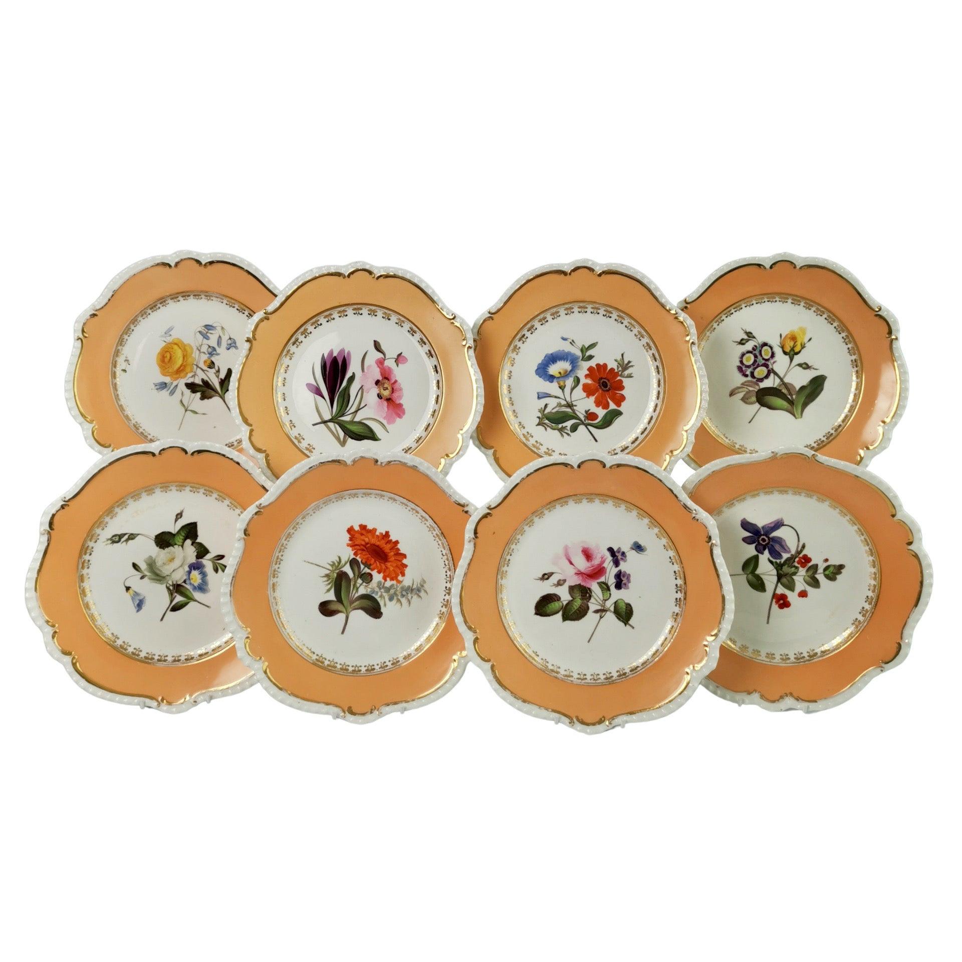 Coalport Set of 8 Porcelain Plates, Peach with Flowers, Regency 1820-1825