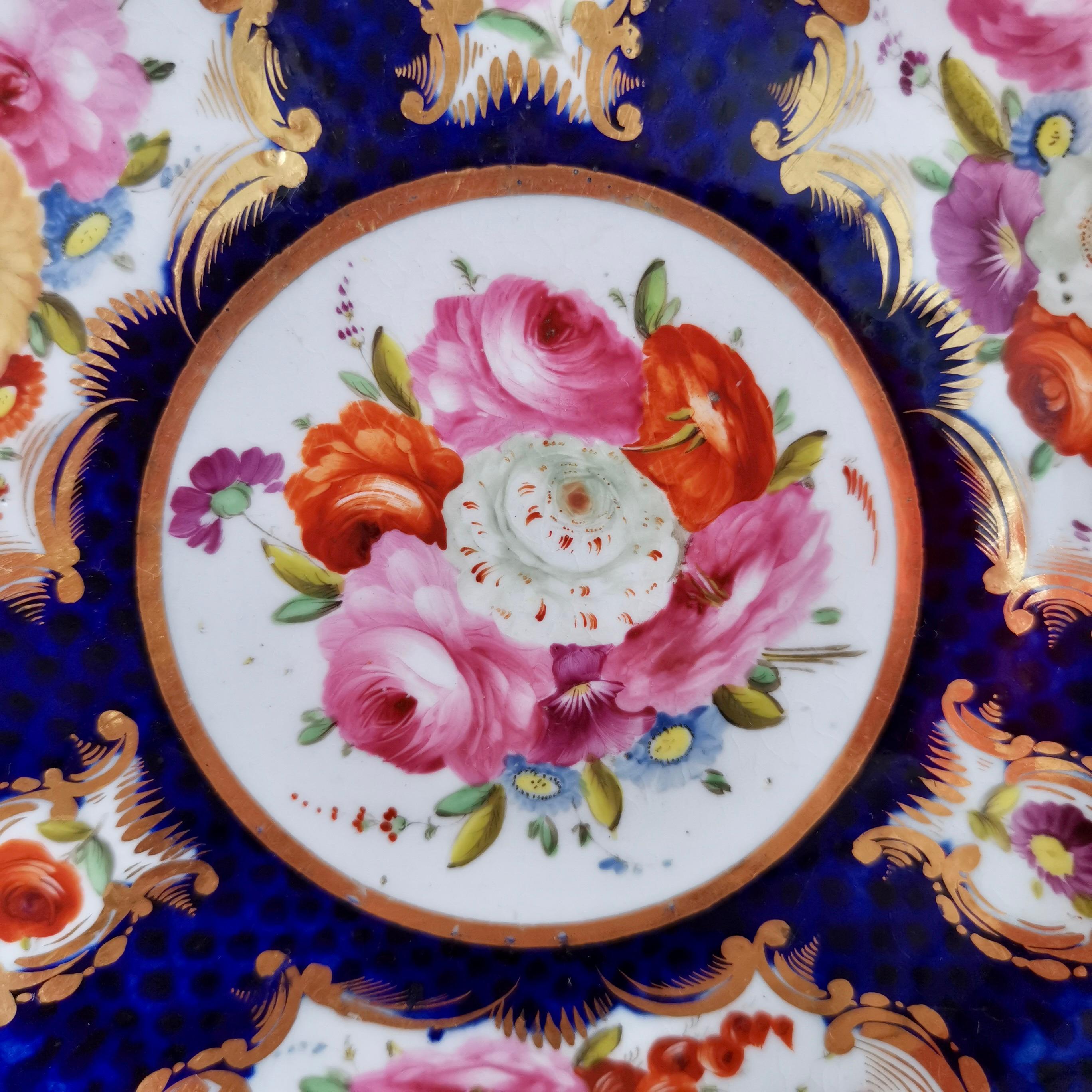 British Coalport Small Porcelain Plate, Cobalt Blue, Gilt and Flowers, Regency 1810-1815