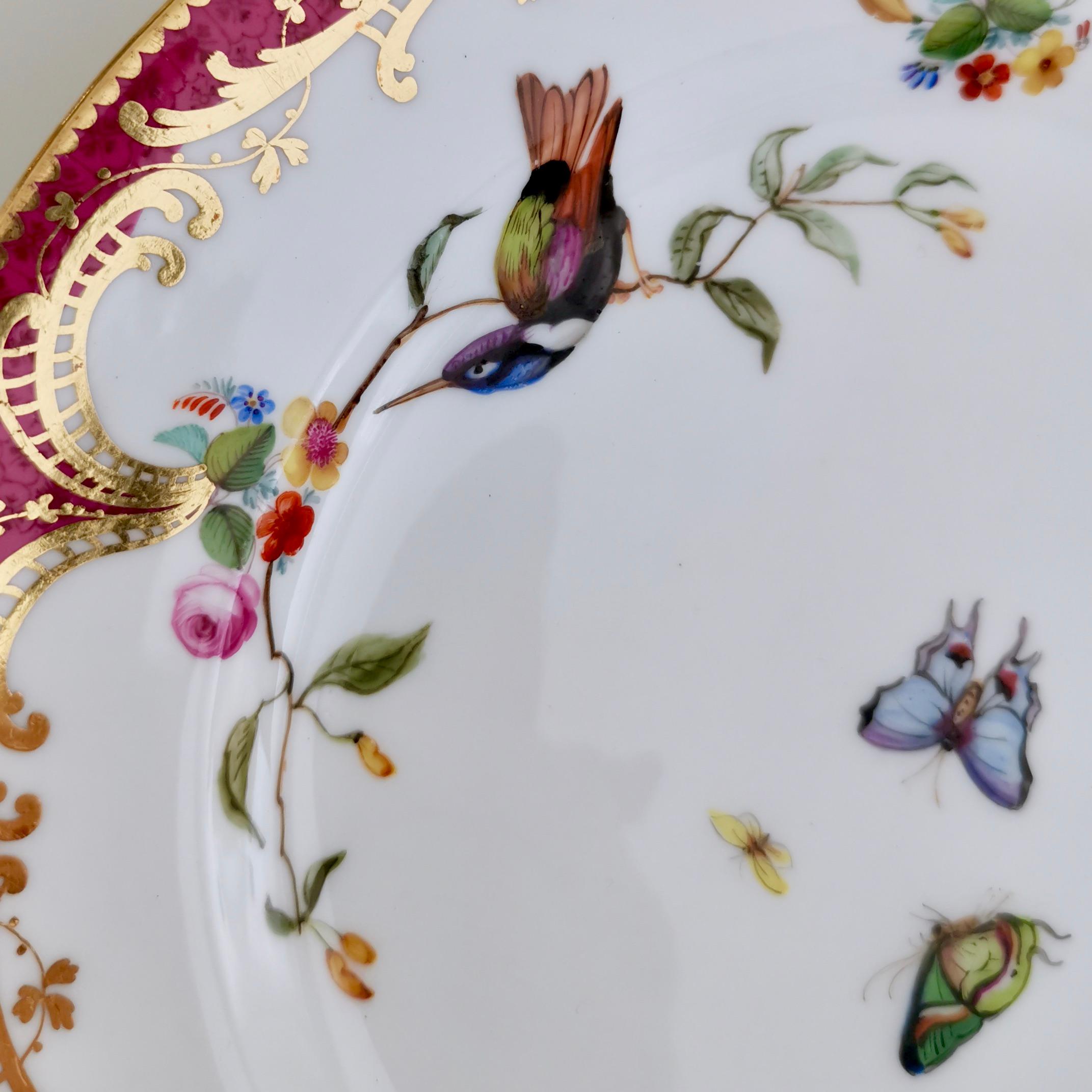 English Coalport Small Porcelain Plate, Humming Birds by John Randall, circa 1865