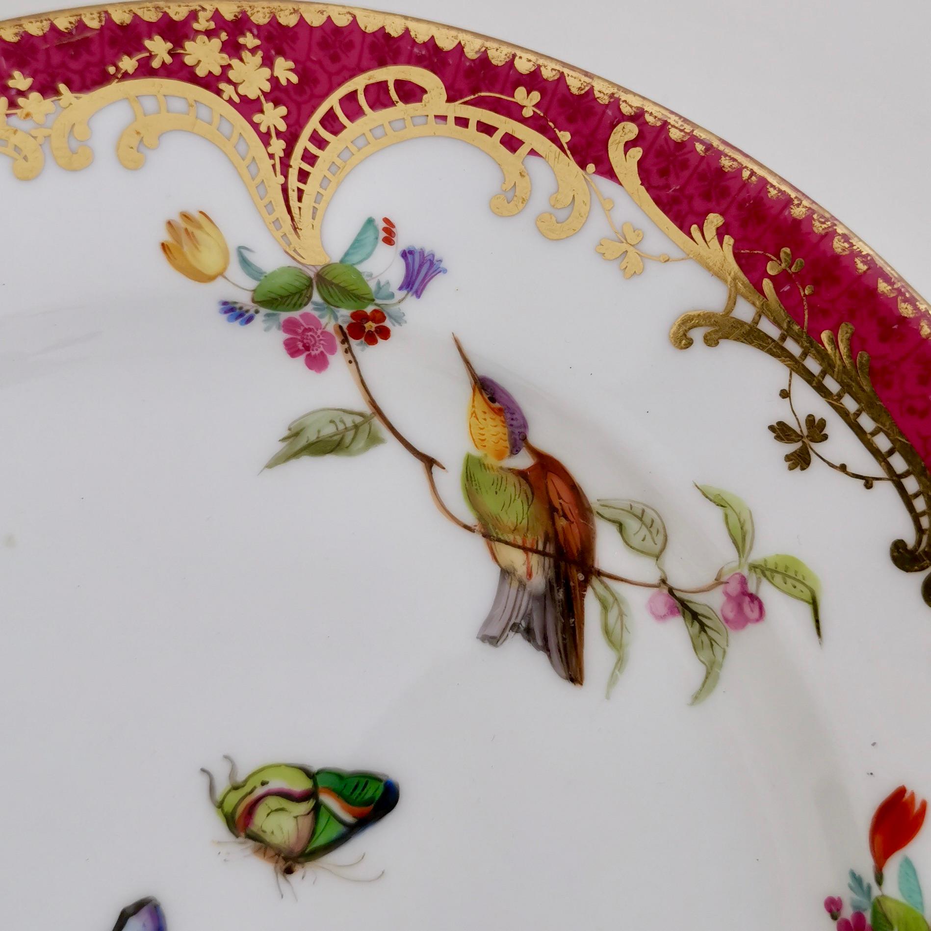 Coalport Small Porcelain Plate, Humming Birds by John Randall, circa 1865 In Good Condition In London, GB