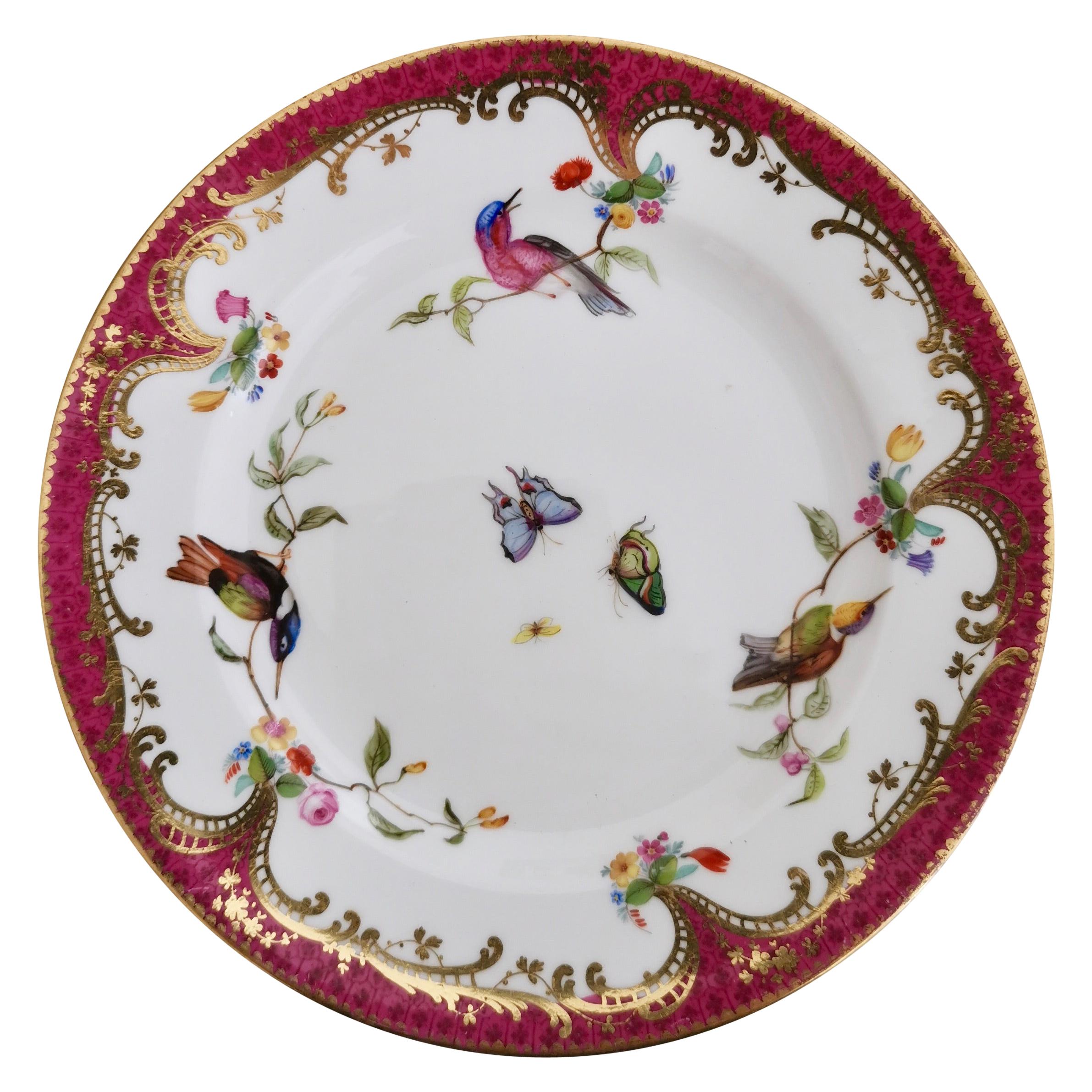 Coalport Small Porcelain Plate, Humming Birds by John Randall, circa 1865