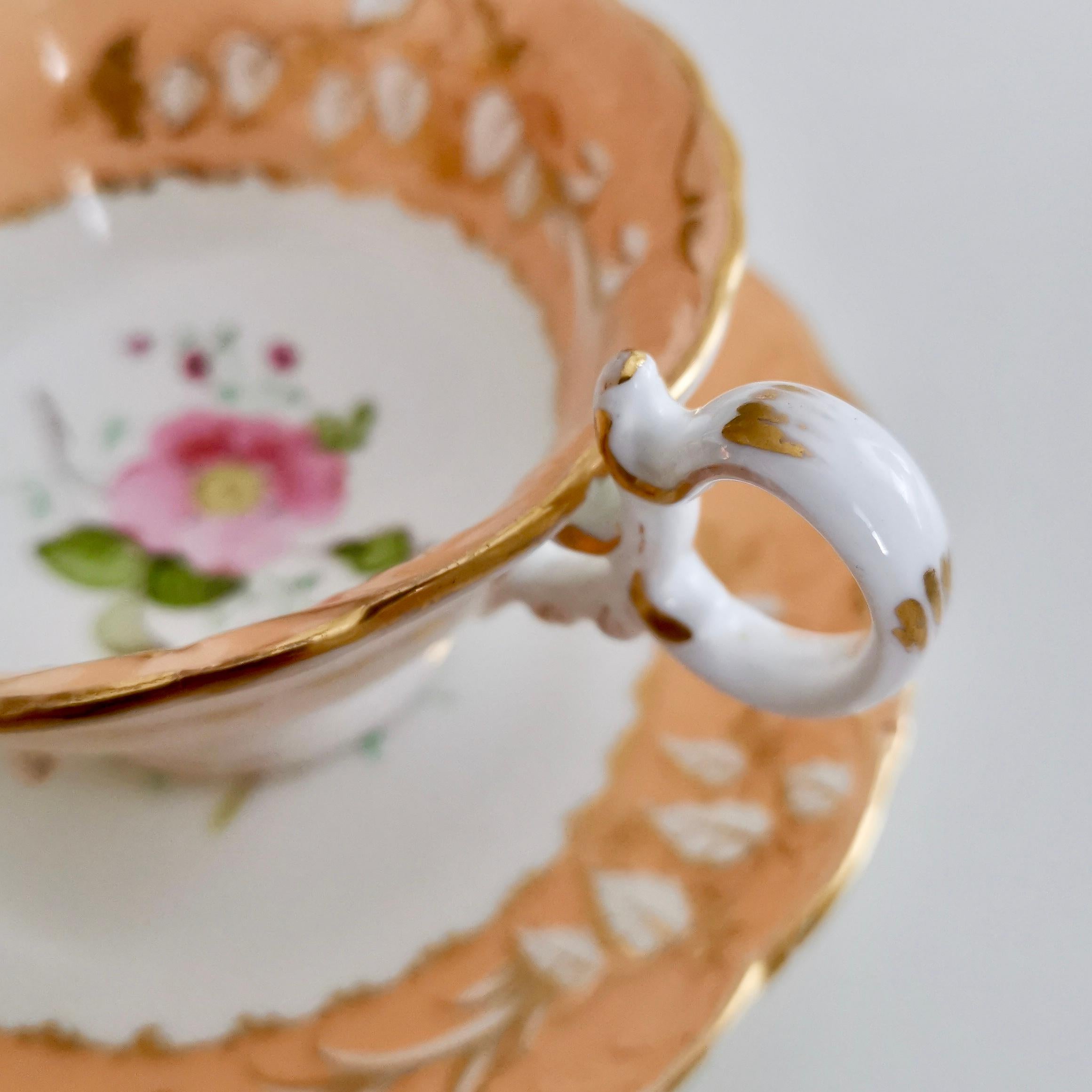 Coalport Teacup, Adelaide Shape, Peach-Colored with Roses, circa 1839 1