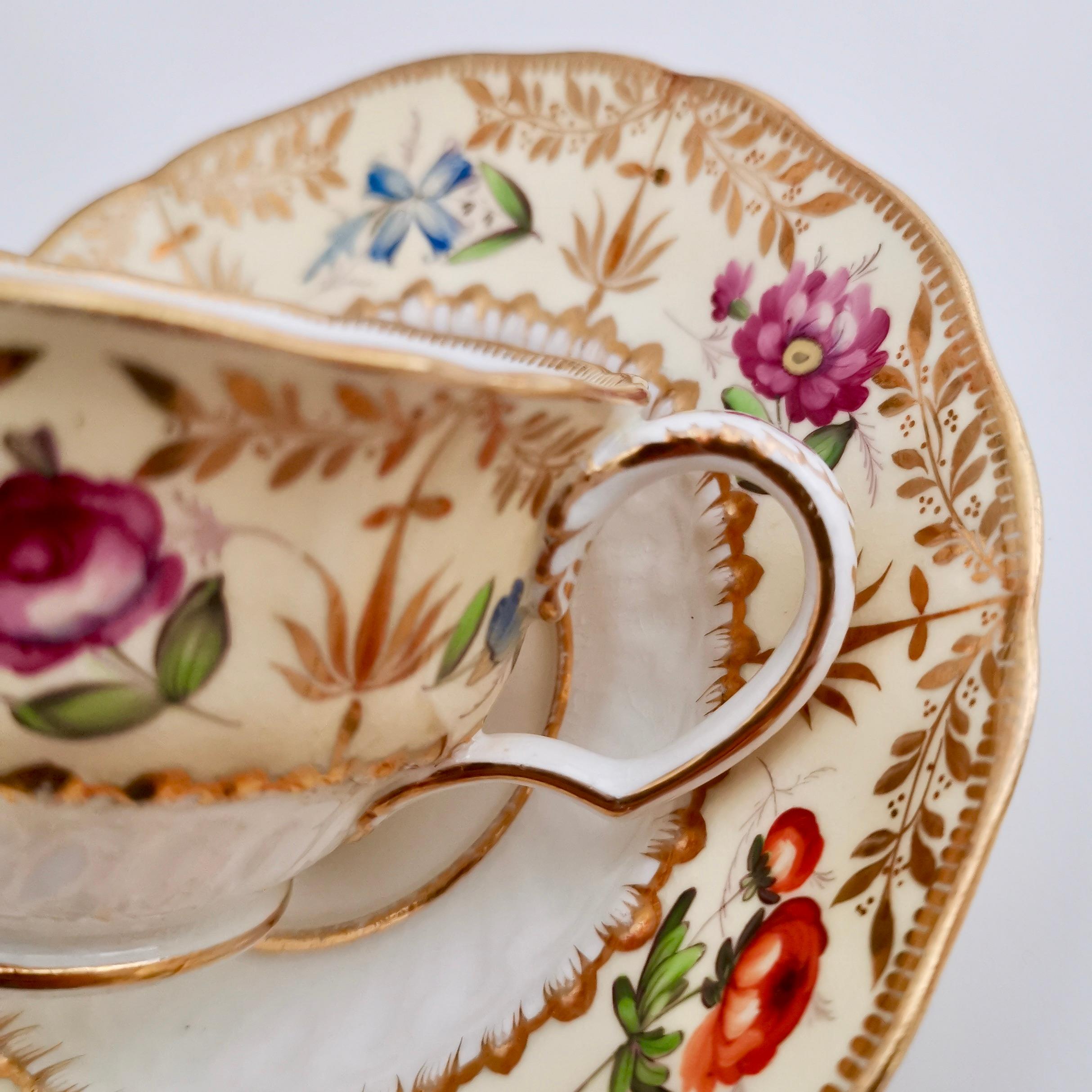 English Coalport Teacup, Hockey Stick Moulding Patt. 996, circa 1820