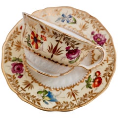 Coalport Teacup, Hockey Stick Moulding Patt. 996, circa 1820