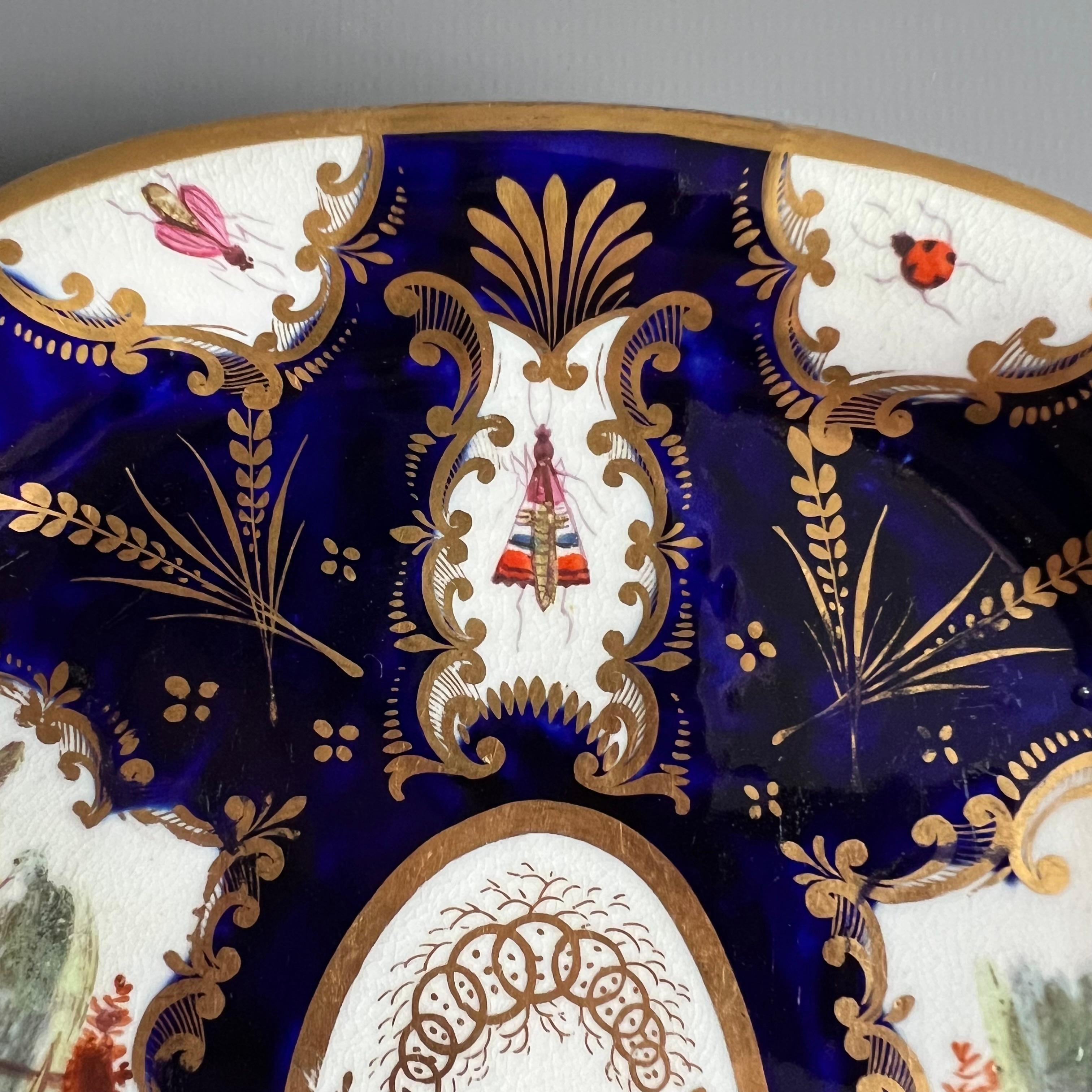 Porcelain Coalport Teapot Stand Dish, Cobalt Blue, Gilt and Birds, Regency ca 1815