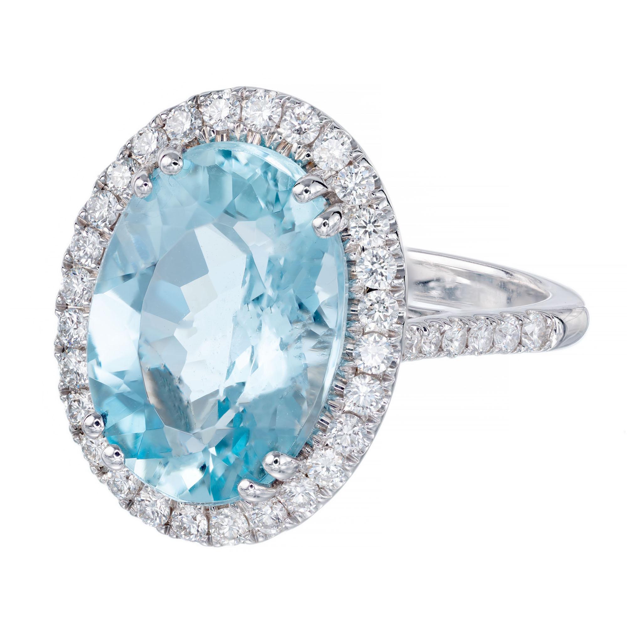 Bright blue natural aqua halo diamond ring from the designer Coast. 3.65ct oval aqua center stone with a halo of round diamonds in a 14k white gold setting with diamonds along the shank. 

1 oval cut aquamarine VS2, approx. 3.65cts
42 round