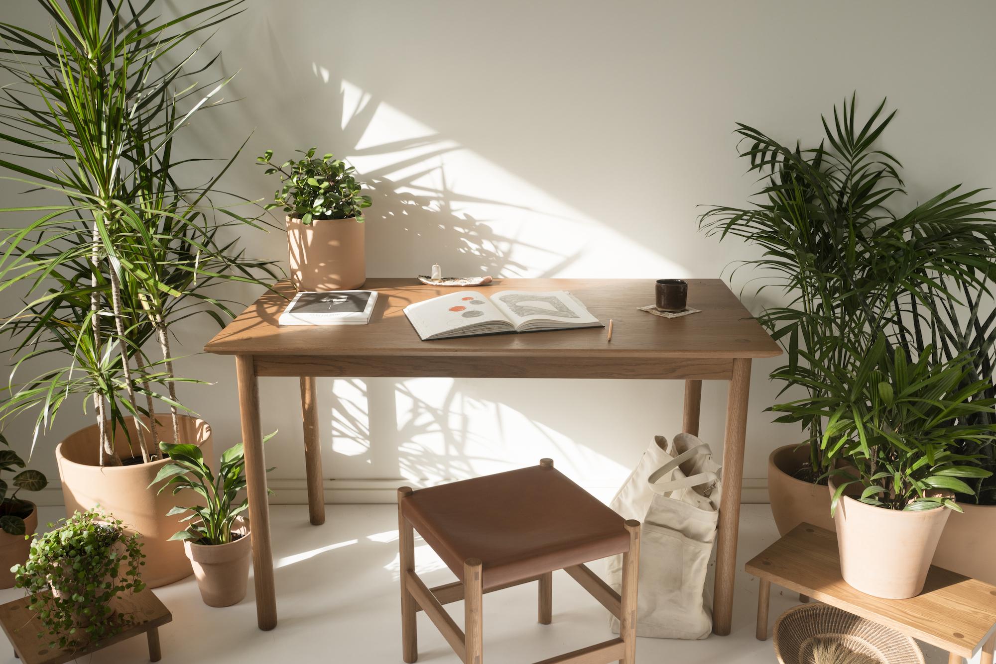 Coast Tisch von Sun at Six, Siena, minimalistischer Esstisch oder Schreibtisch aus Holz (Eichenholz) im Angebot