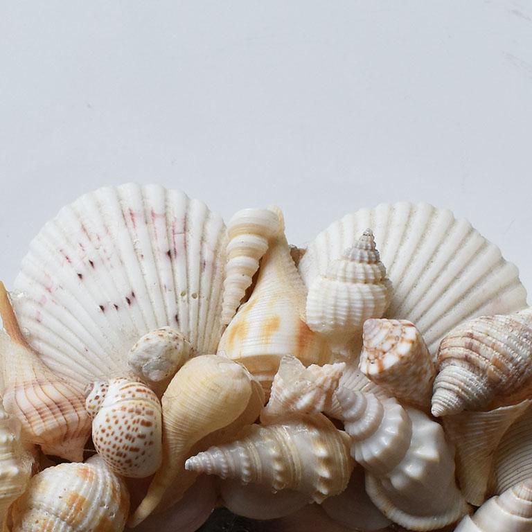 seashell shaped mirror