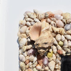 Coastal Rectangular Sea Shell Encrusted Wall Mirror