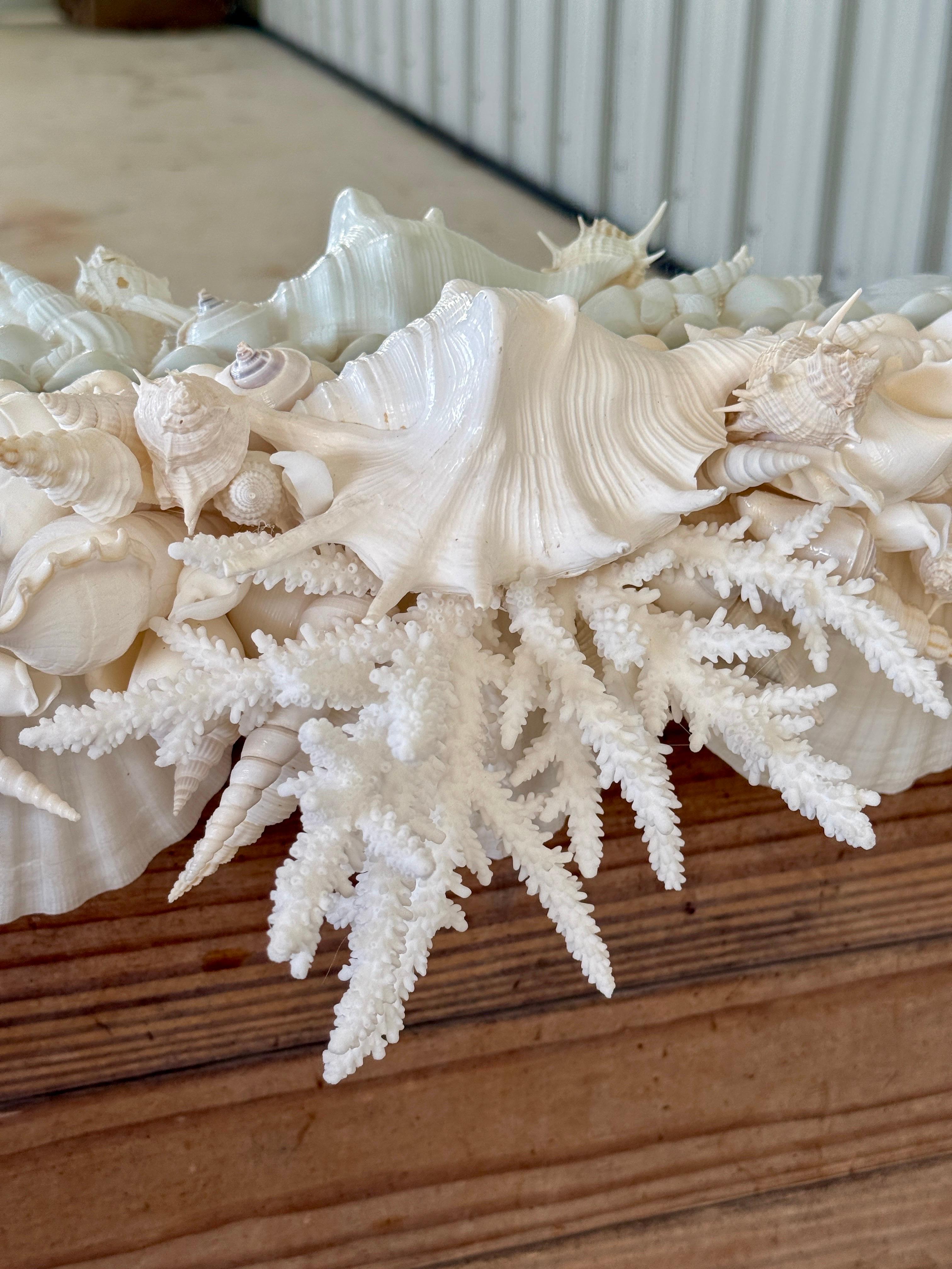 Coastal Regency Monumental Sculptural Custom Made Seashell and Coral Mirror For Sale 5