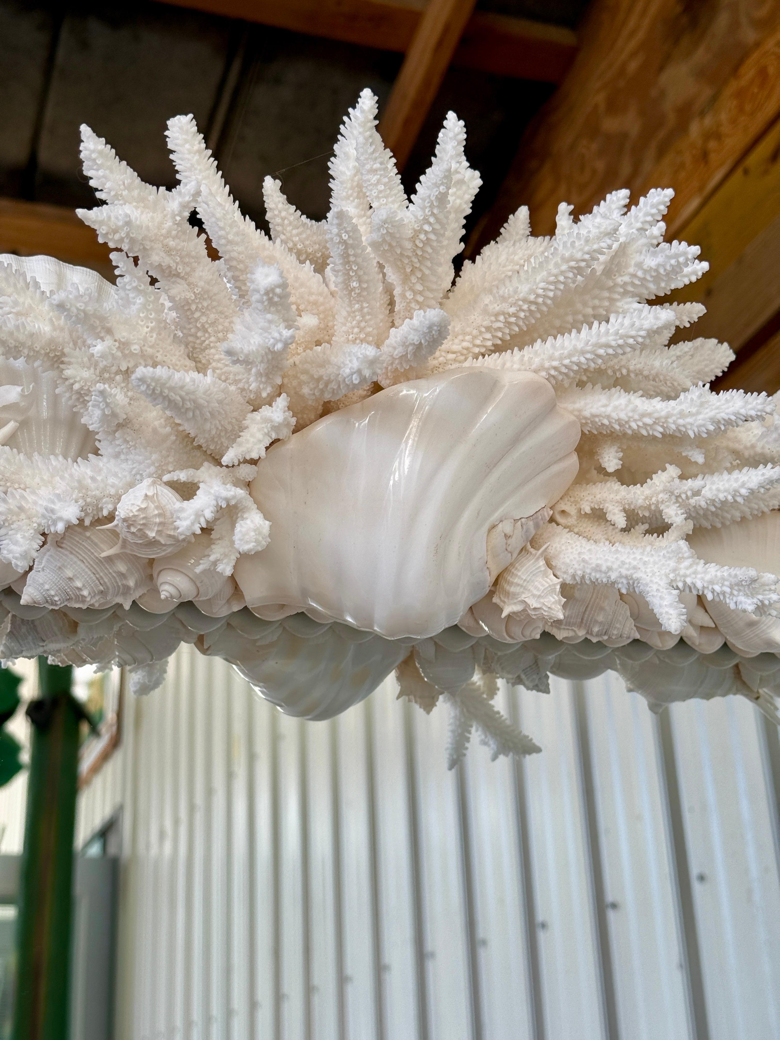 Coastal Regency Monumental Sculptural Custom Made Seashell and Coral Mirror For Sale 1
