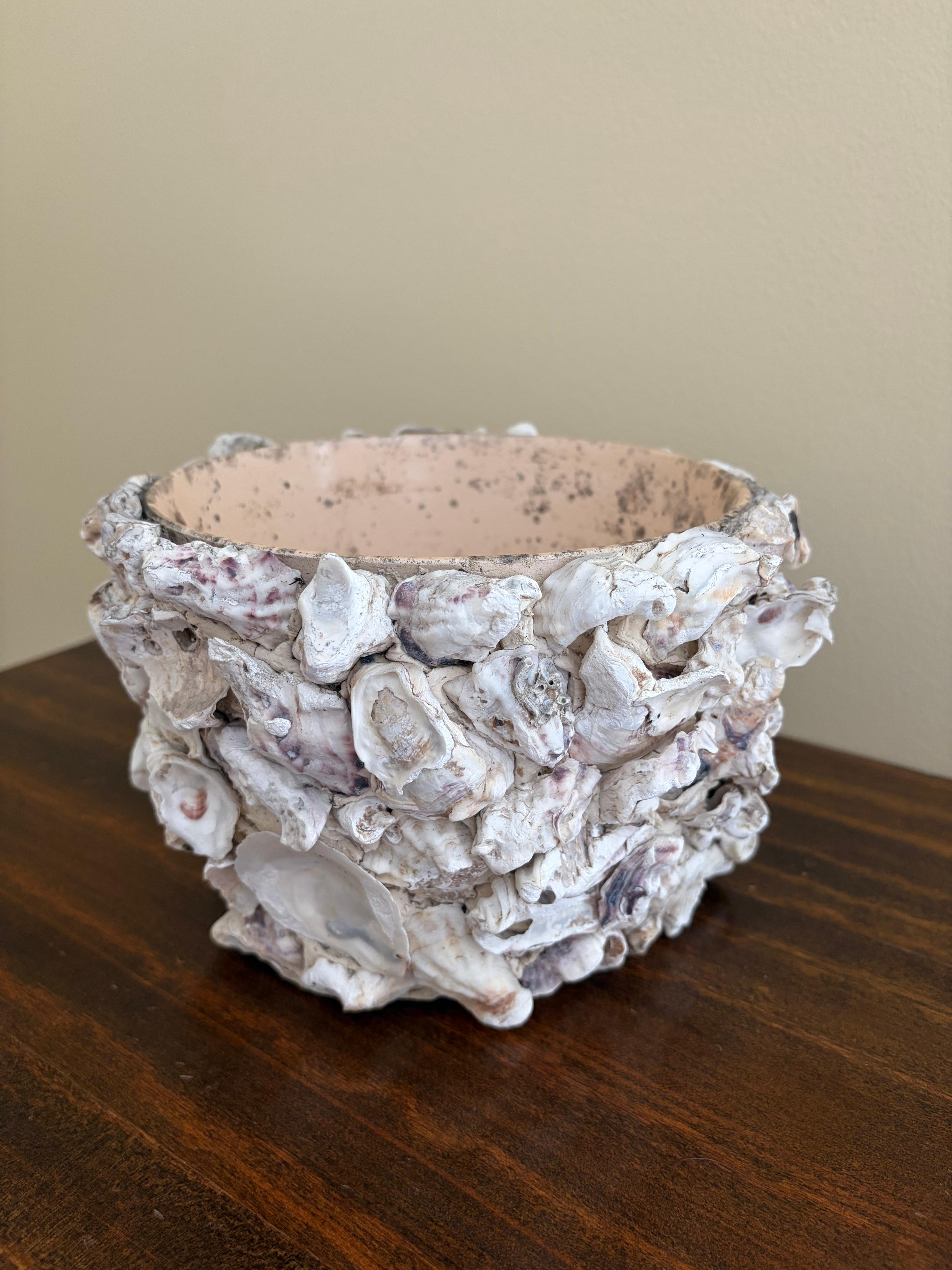 Organique Coastal Sea Shell Planter or Cachepot en vente