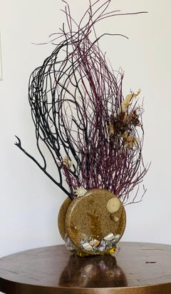 Assemblage de fouet de mer côtier dans un support en lucite