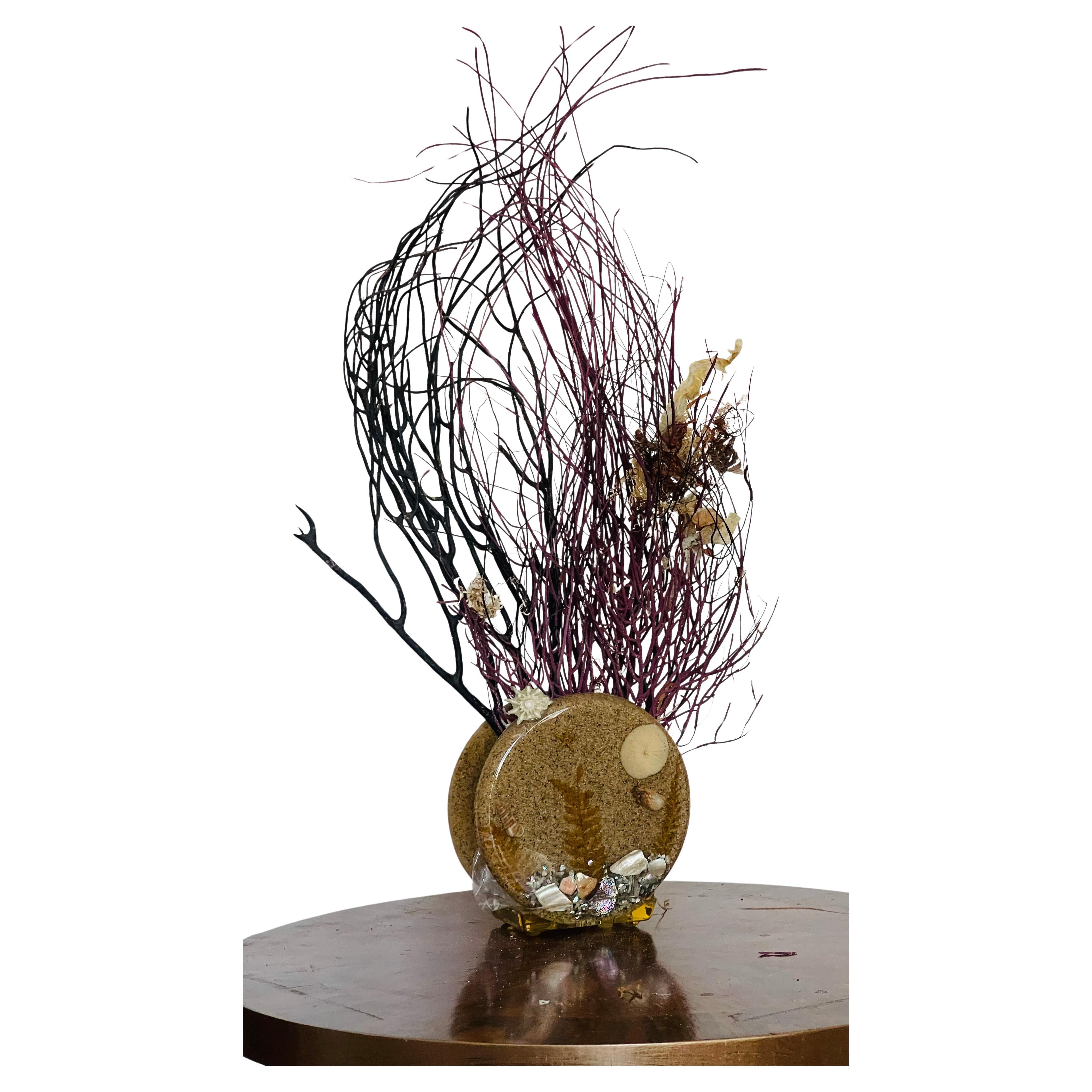 Assemblaggio di fruste marine costiere in un supporto di lucite in vendita
