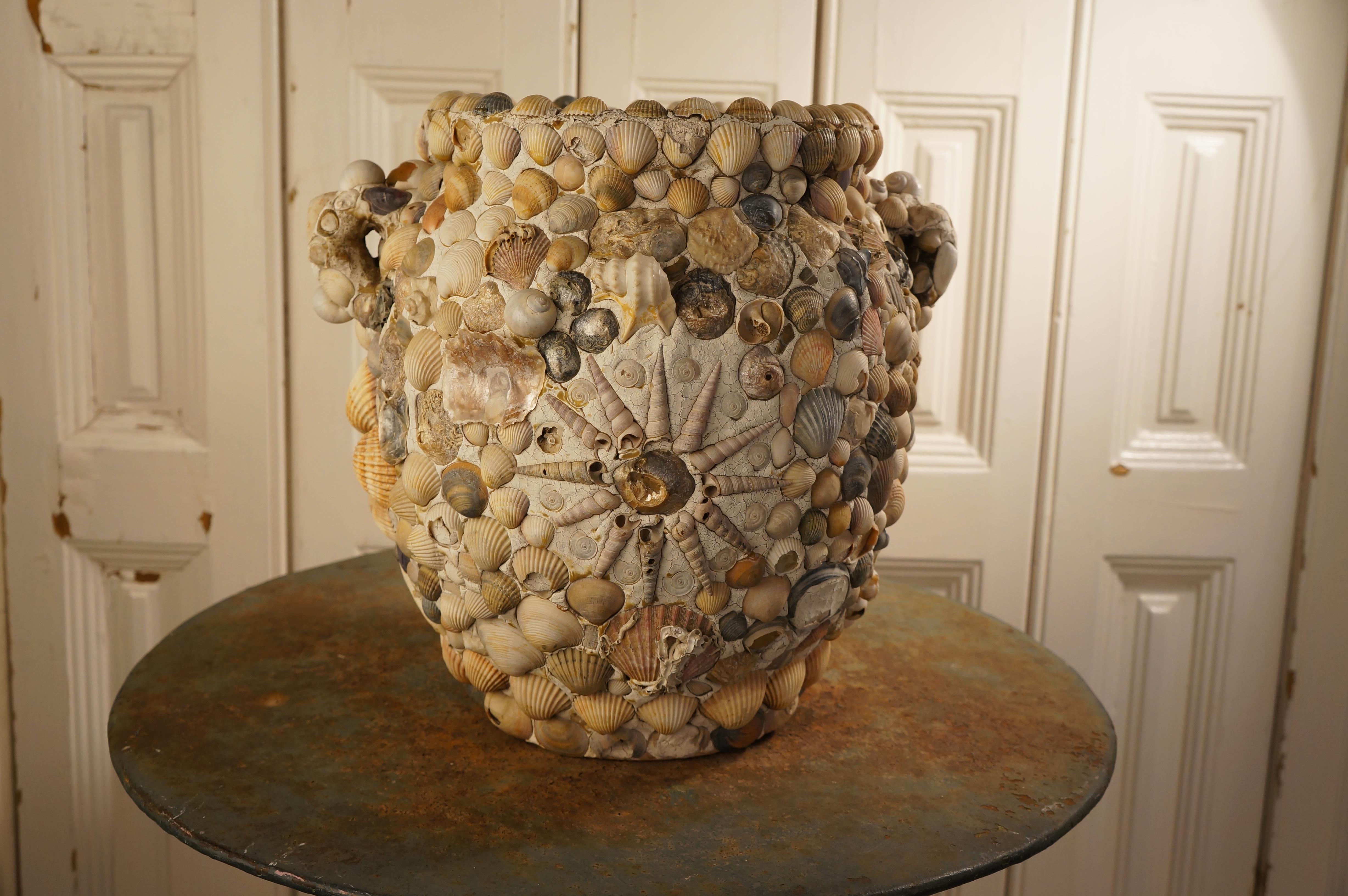 This striking vase is crafted from an intricate mix of clam and snail shells, bringing a touch of the ocean's beauty and natural elegance to your home.