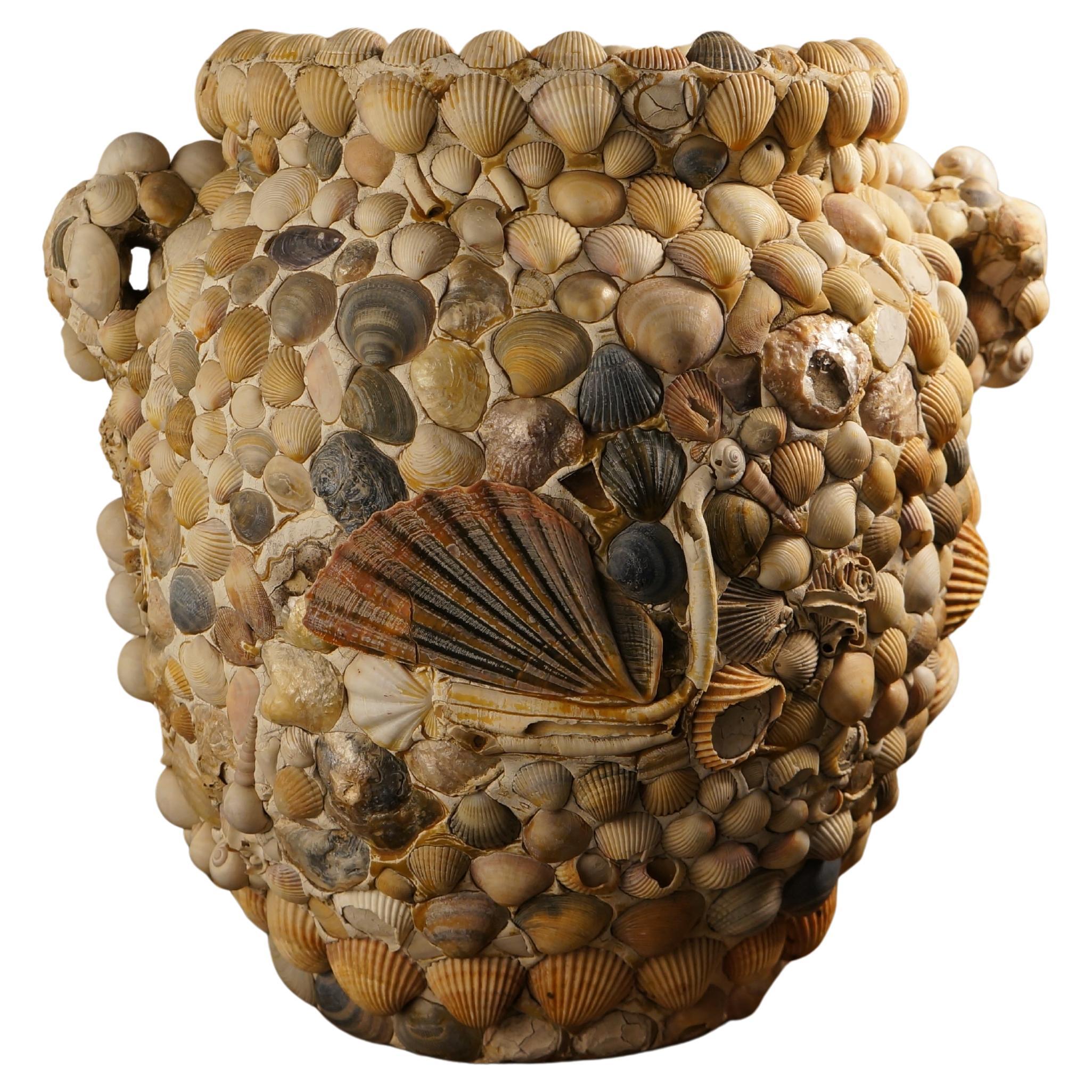 Coastal Shell Vase