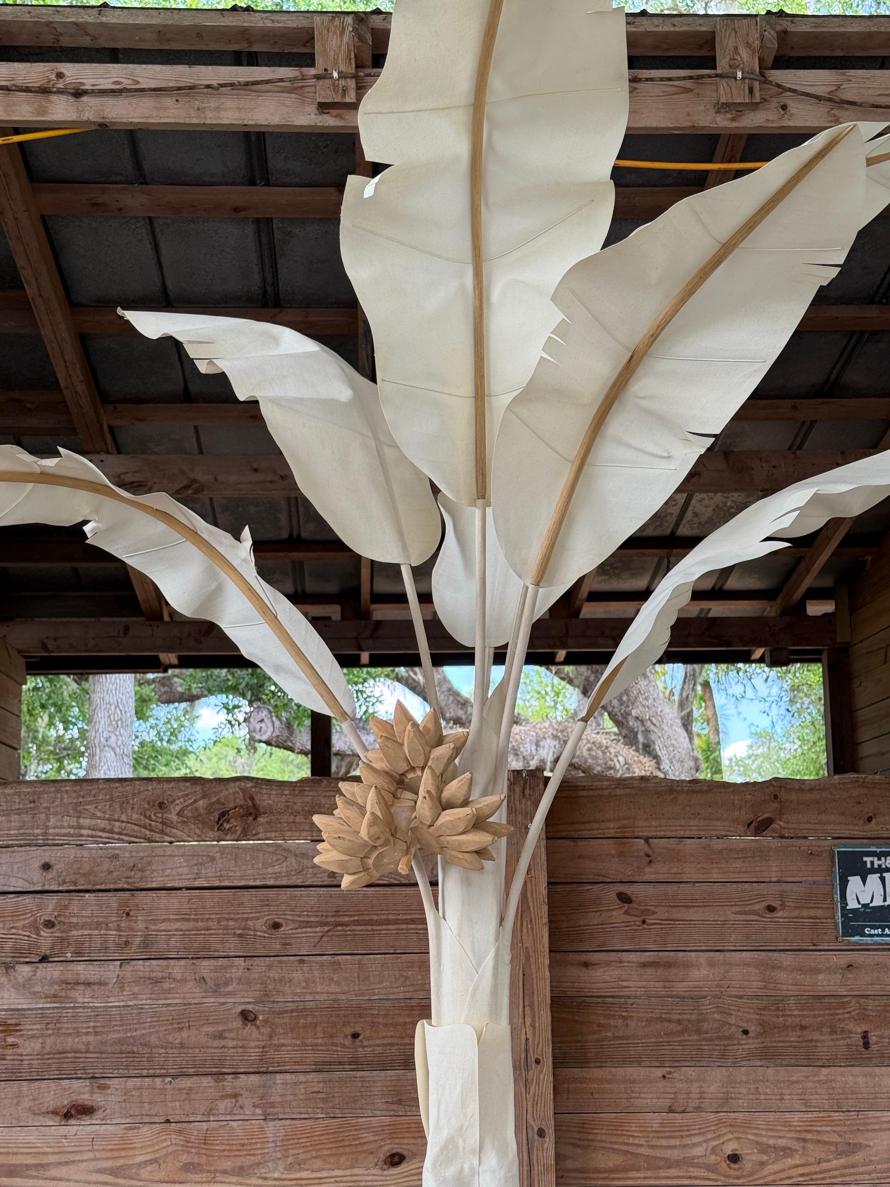 Lienzo Tropical Costero Palmera Bananera en venta 4