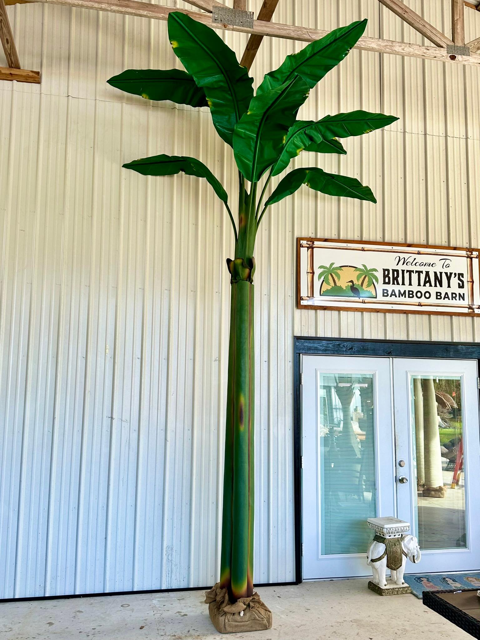 Tropischer grüner Bananen-Canvas-Baum an der Küste im Angebot 2