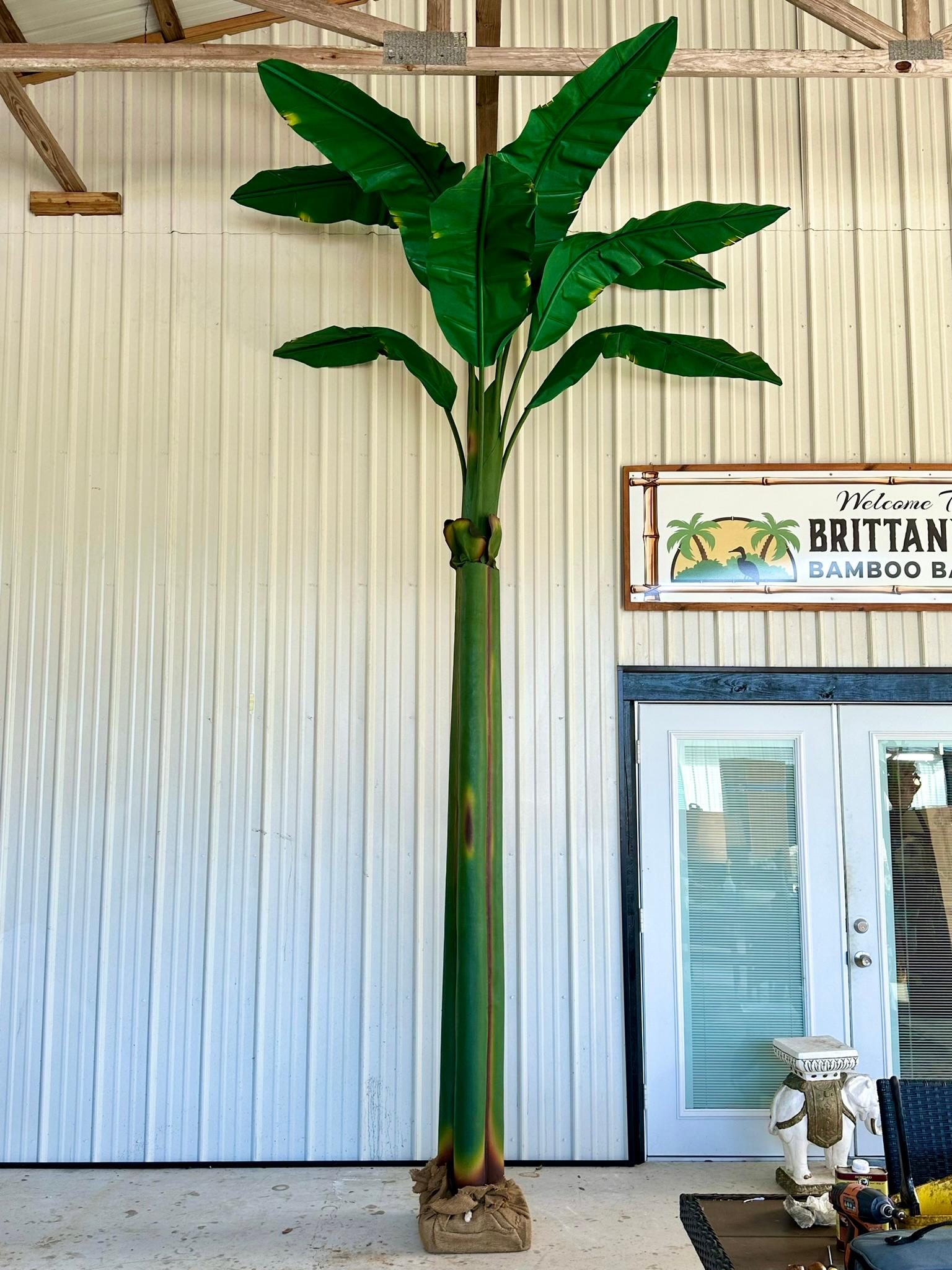 Tropischer grüner Bananen-Canvas-Baum an der Küste im Angebot 3