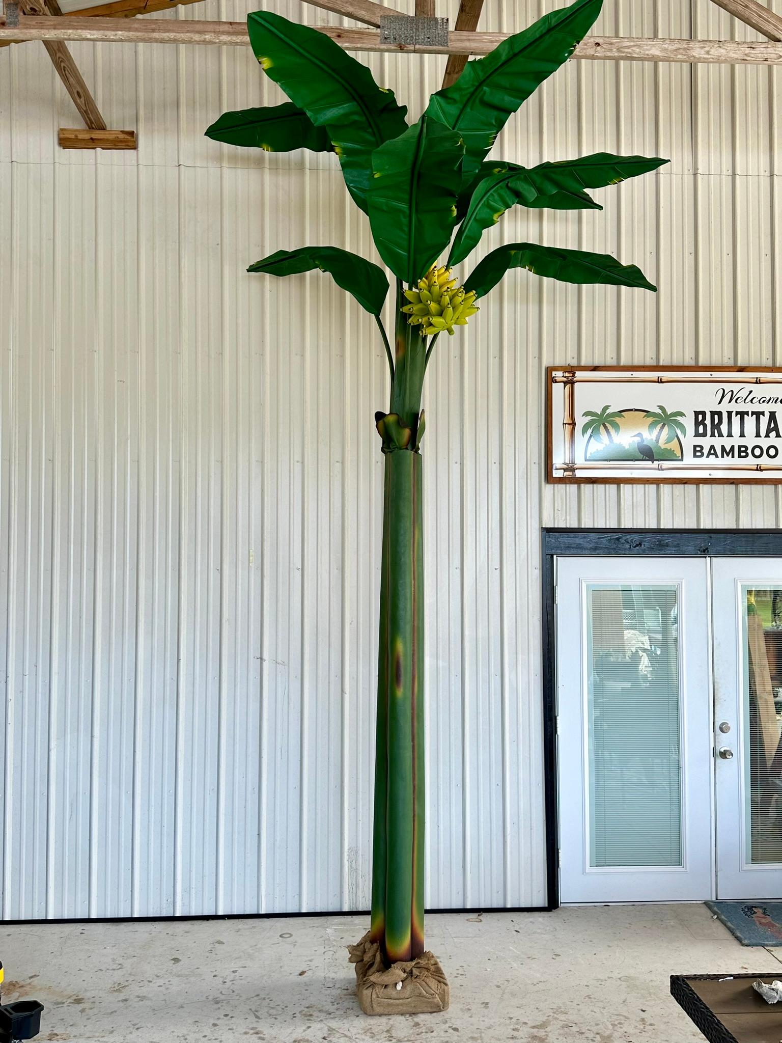 Wir stellen zwei wunderschöne, monumentale grüne Bananenstauden vor, die jeweils eine beeindruckende Höhe von 12 Fuß haben. Diese auffälligen Stücke zeigen kunstvoll geschnitzte Holzbananen, die in naturgetreuem Grün und Gelb bemalt sind und in