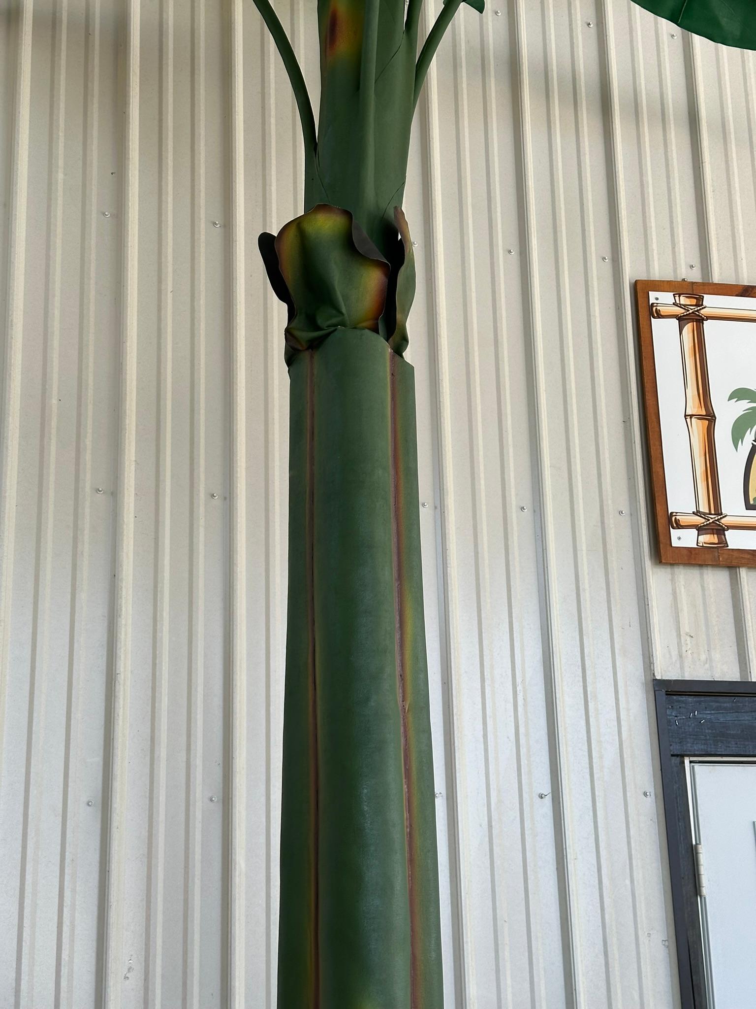 Tropischer grüner Bananen-Canvas-Baum an der Küste (Philippinisch) im Angebot