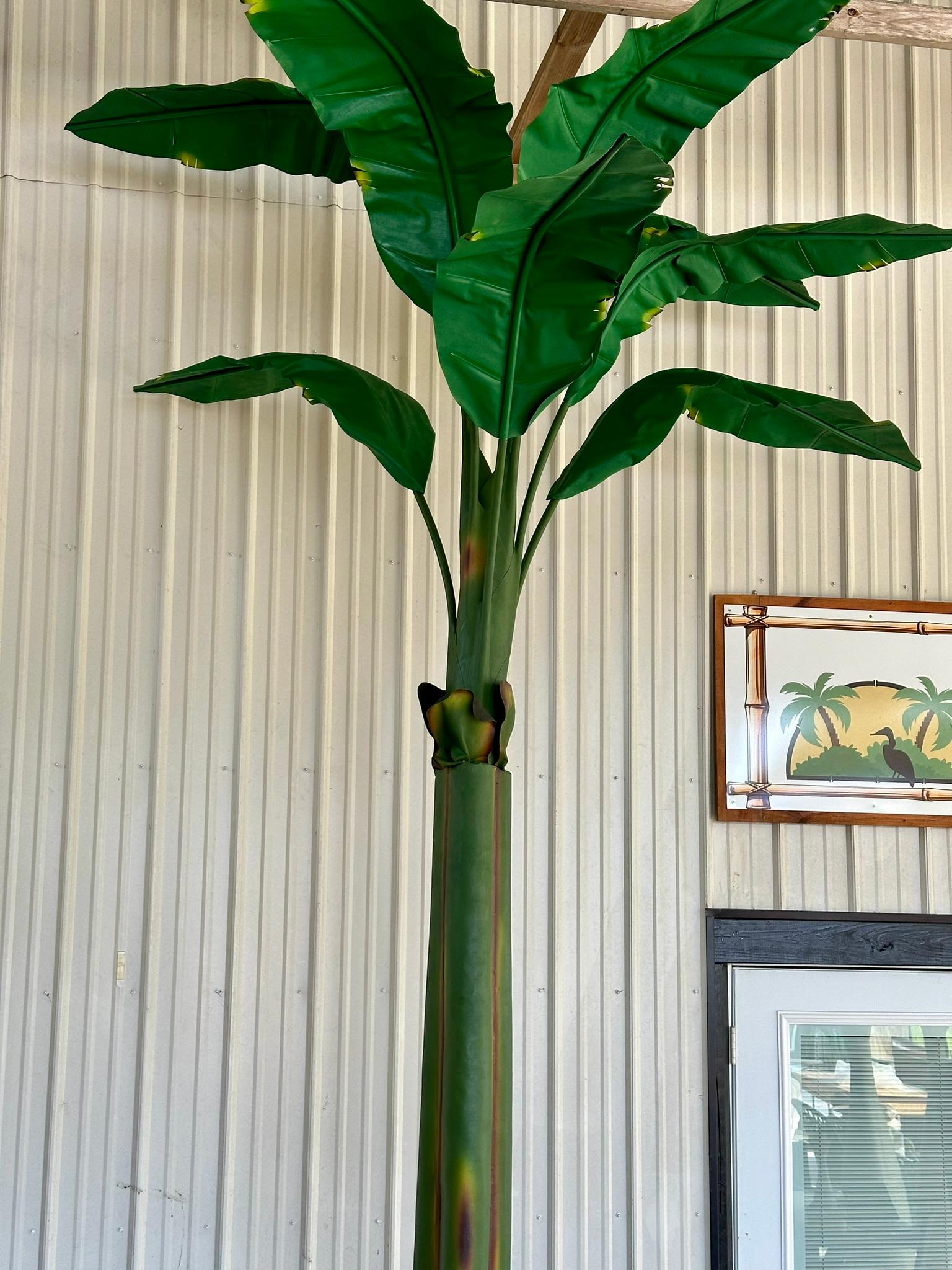 Tropischer grüner Bananen-Canvas-Baum an der Küste im Zustand „Gut“ im Angebot in North Fort Myers, FL