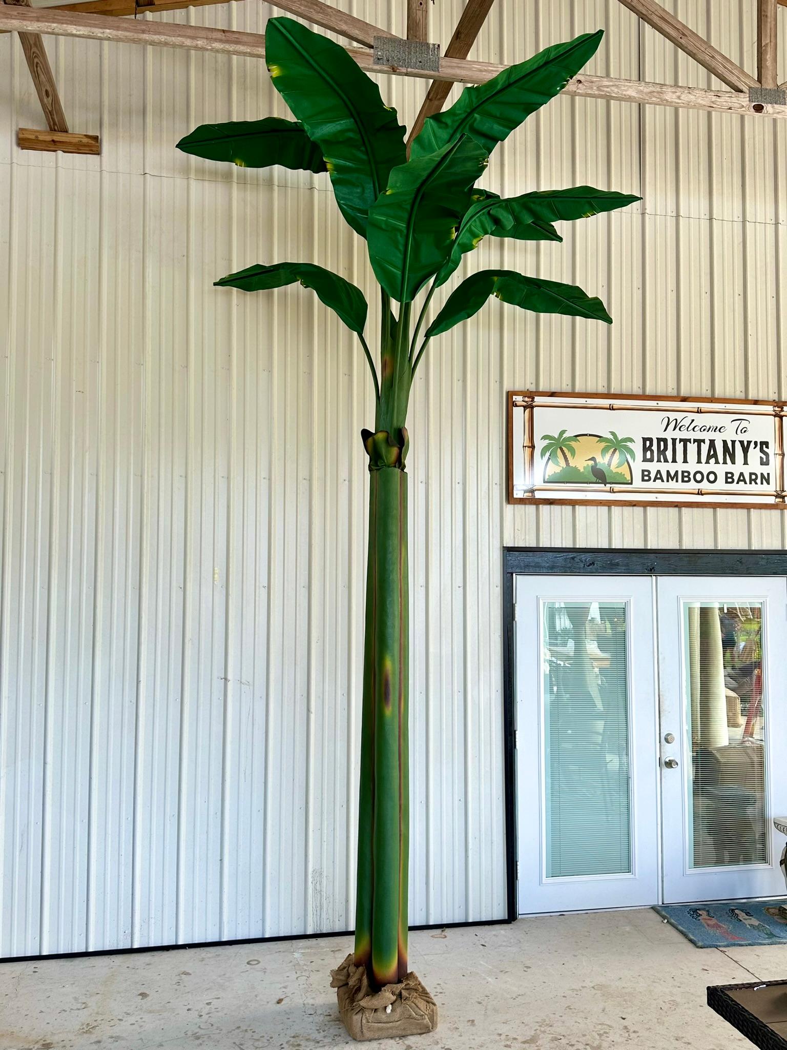 Tropischer grüner Bananen-Canvas-Baum an der Küste im Angebot 1