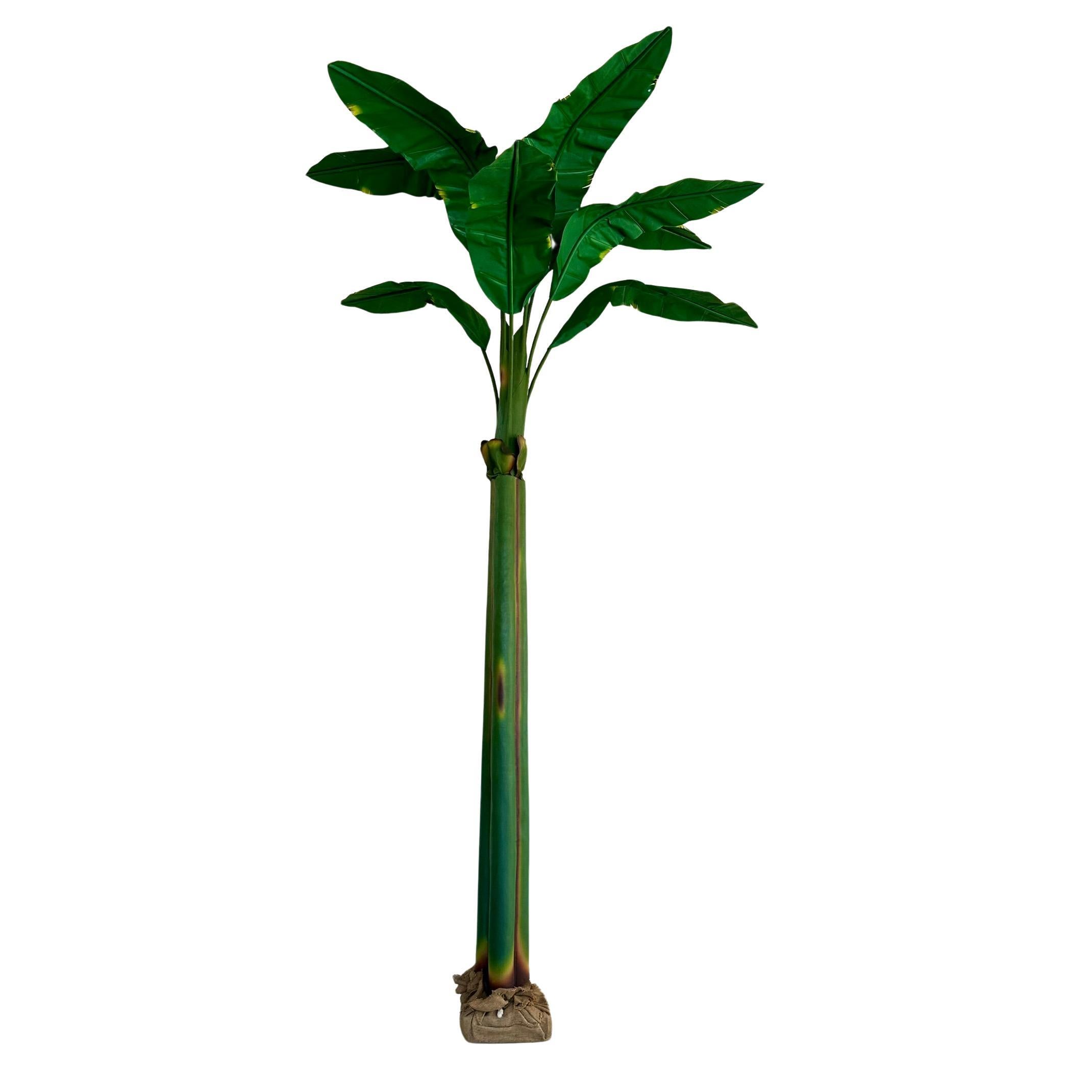 Árbol de lona de plátano verde tropical costero