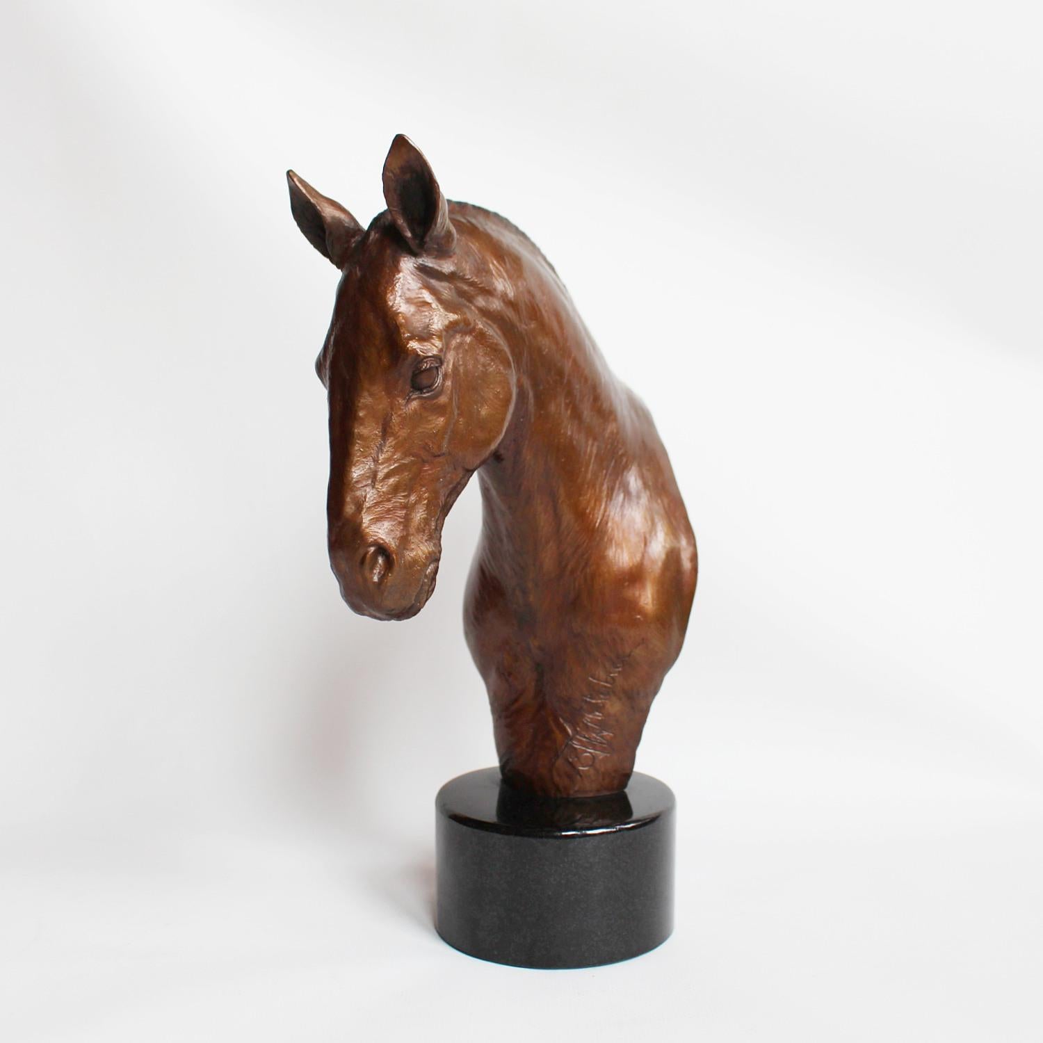 A contemporary patinated bronze study of a Cobb horse head by Stephen Winterburn (b.1959), set over a polished granite plinth. Limited edition of eight. Signed to cast.

Winterburn's works have been displayed in many prestigious galleries