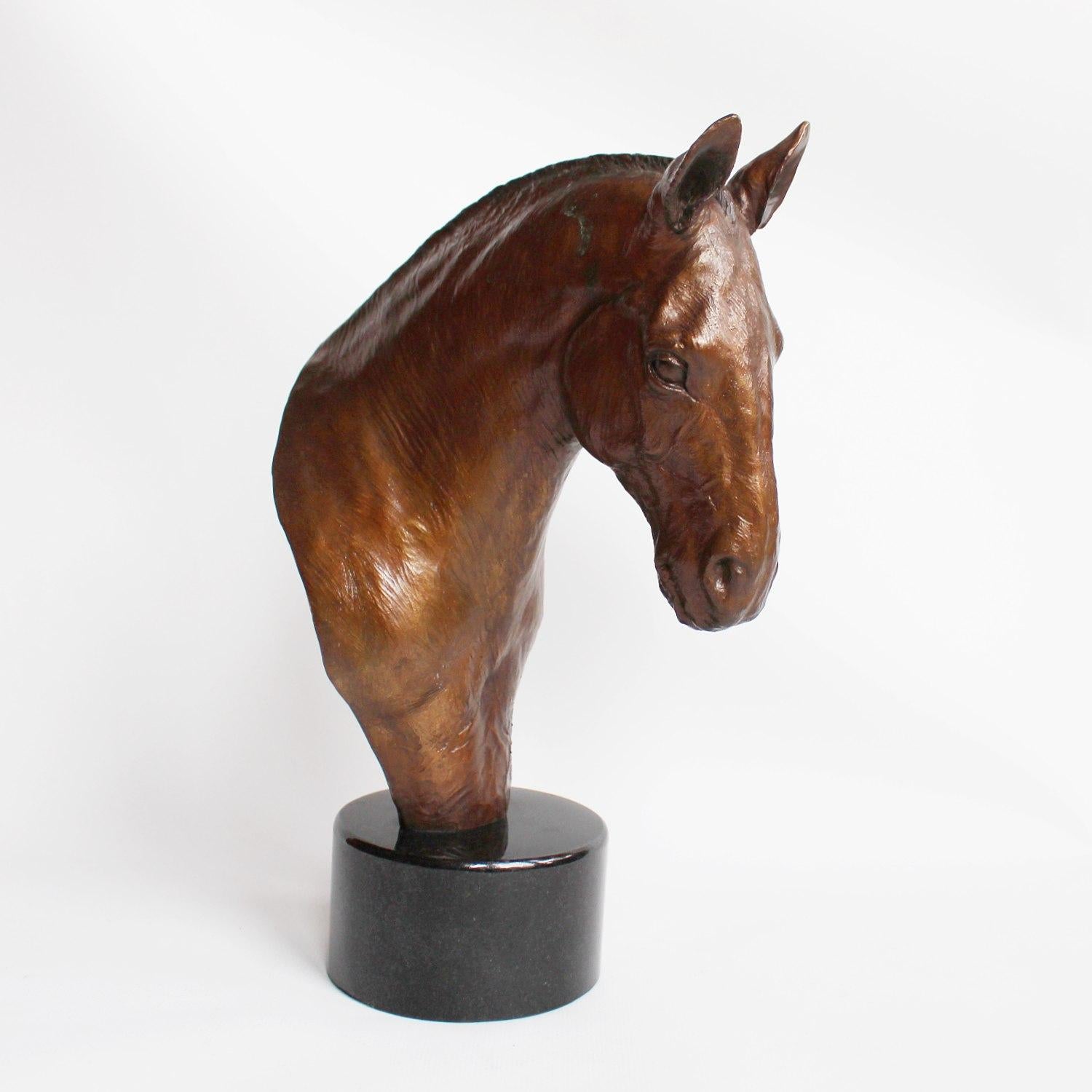 Modern Cobb Horse Head by Stephen Winterburn