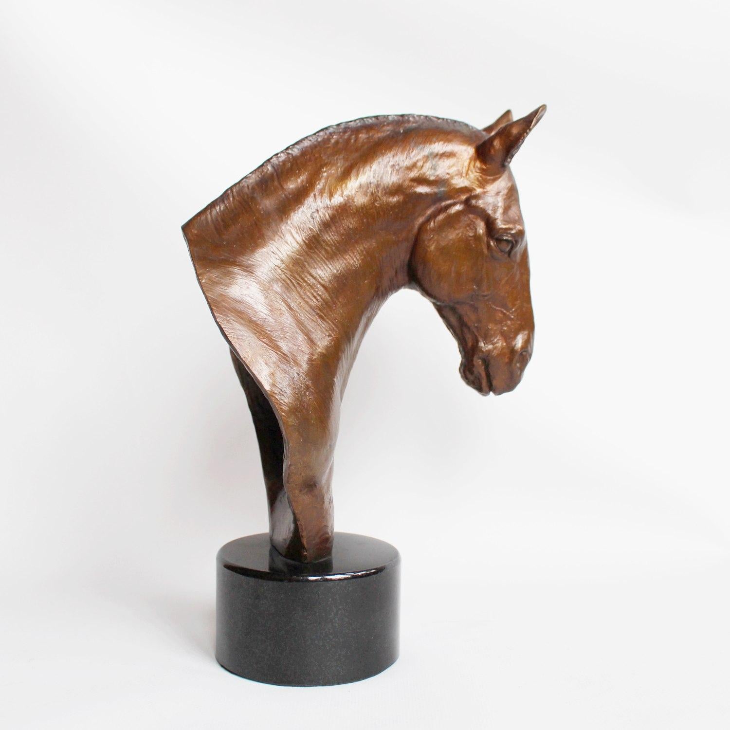 Cobb Horse Head by Stephen Winterburn In Good Condition In Forest Row, East Sussex