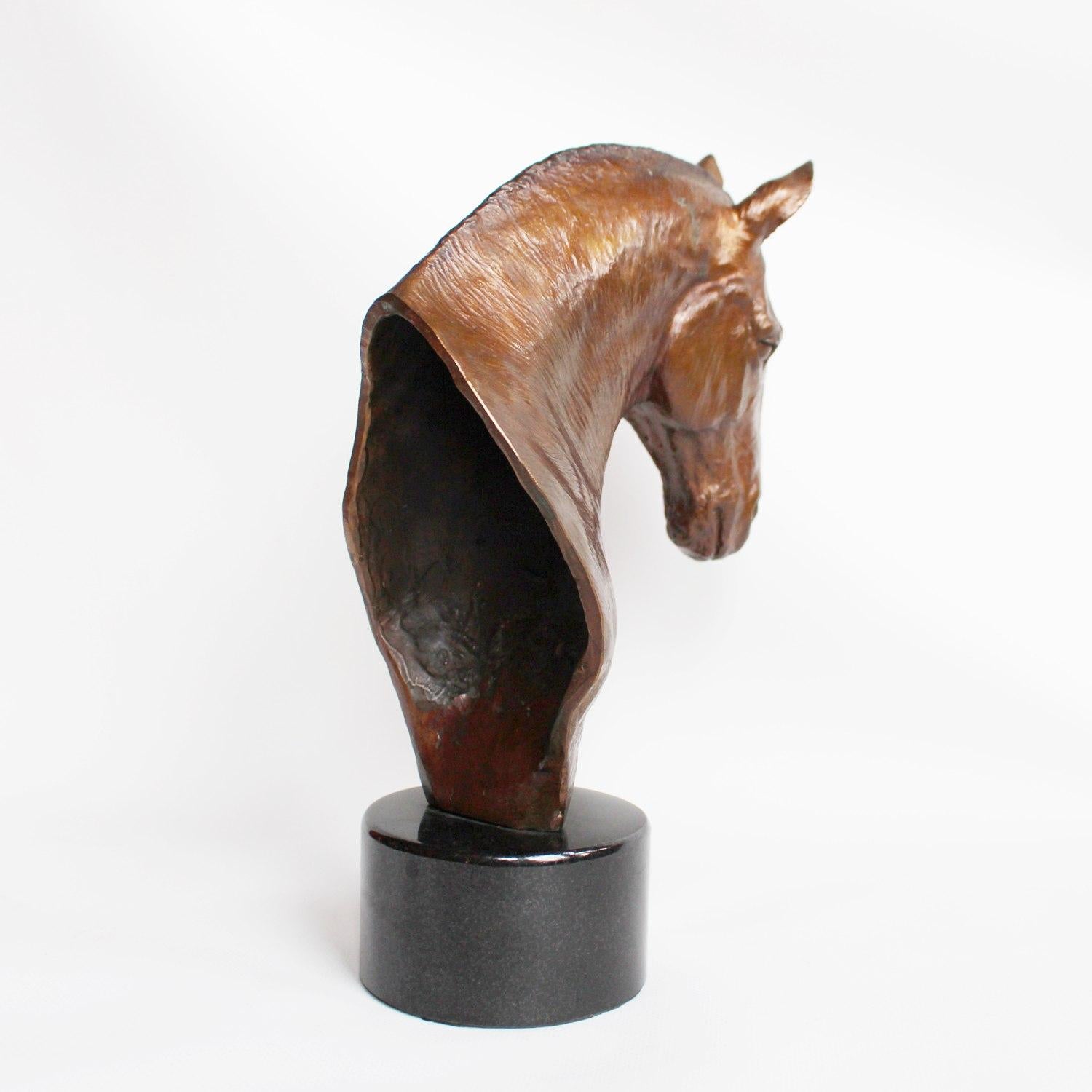 Contemporary Cobb Horse Head by Stephen Winterburn